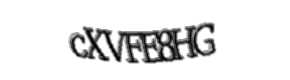 Security check image, please type the characters shown
