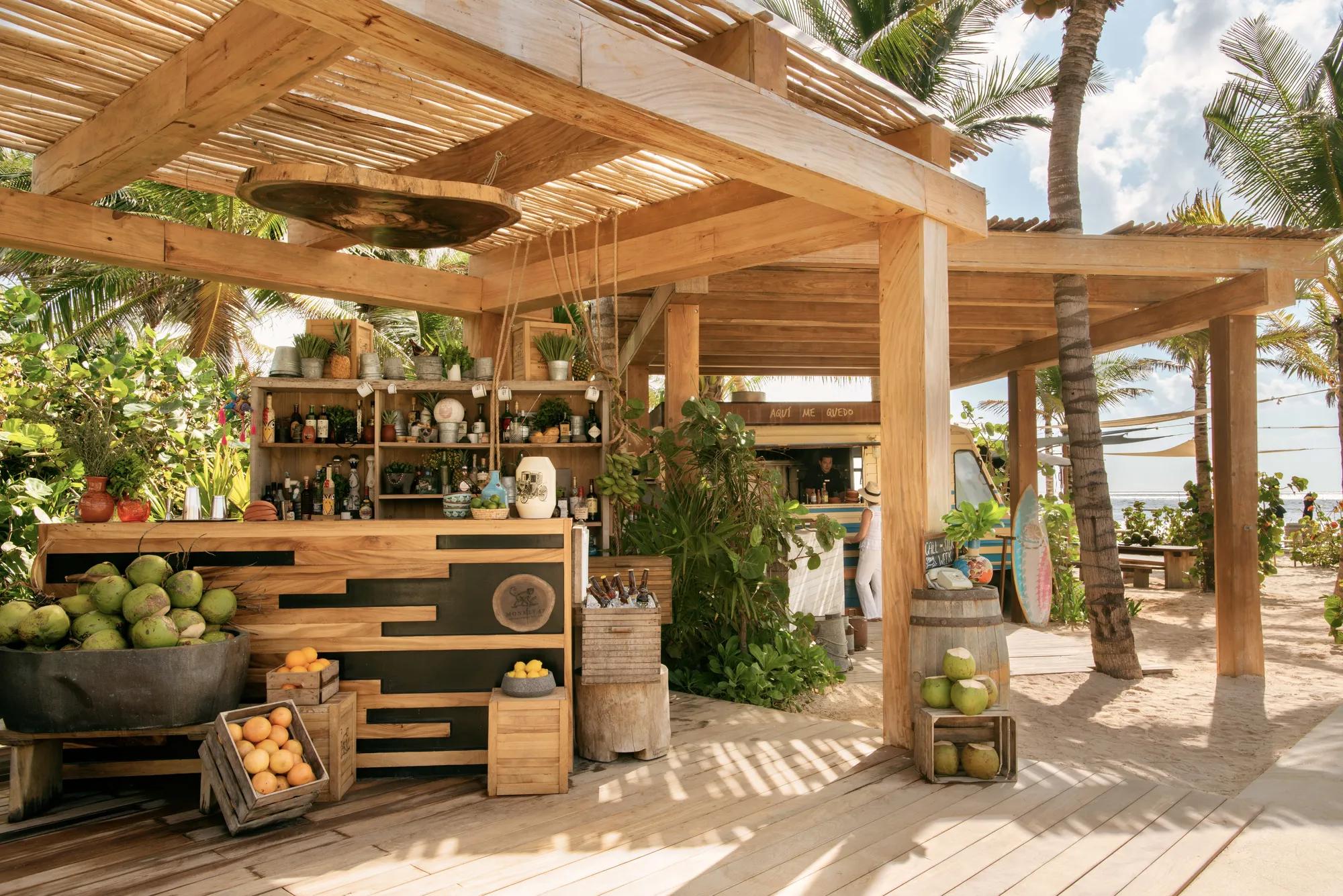 Aqui Me Quedo Monkey