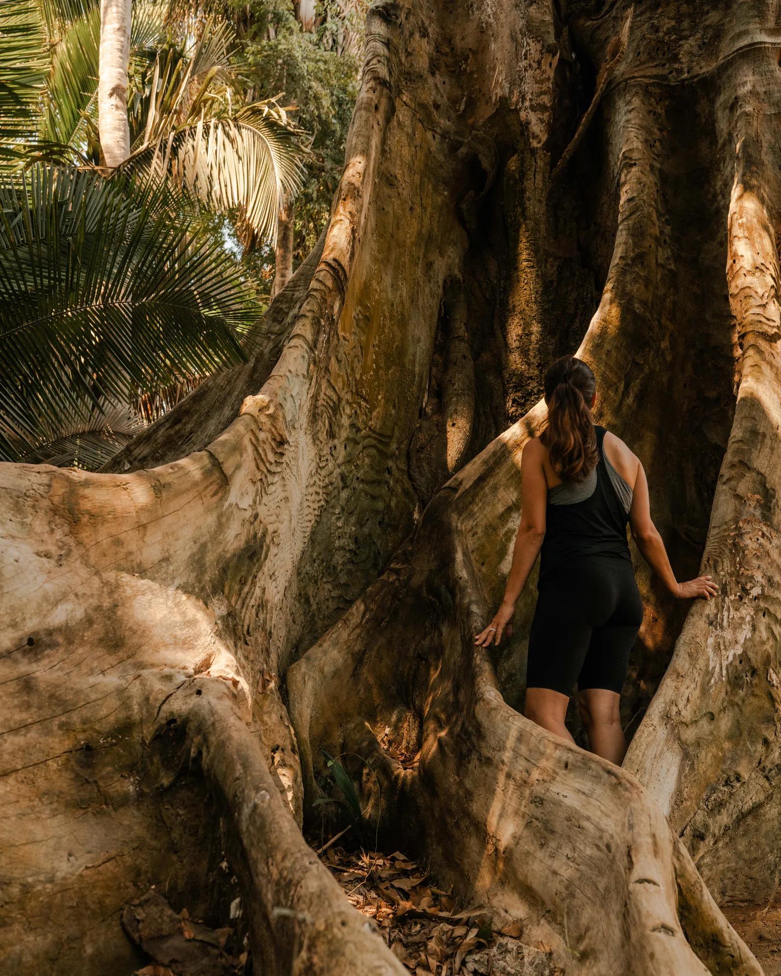 Destination_Lifestyle_Jungle Hike