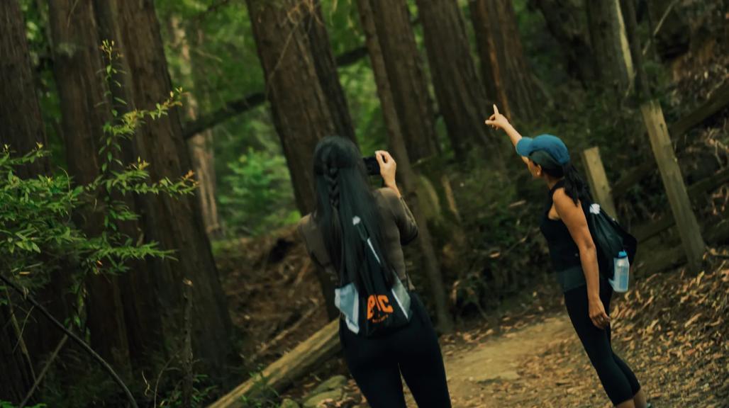 Hikers walking through a forest of redwood trees