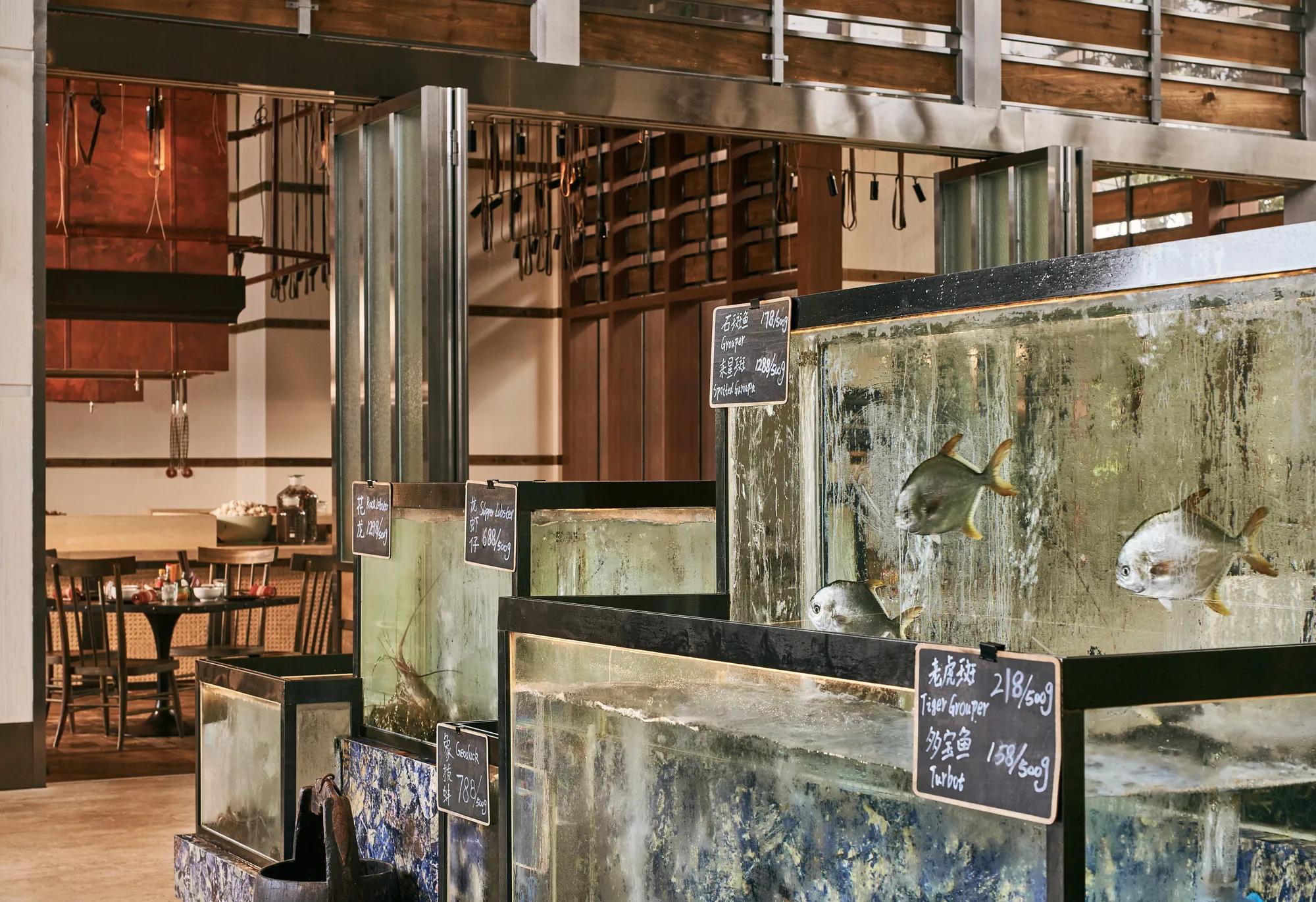 The Fishmonger Fish Tank