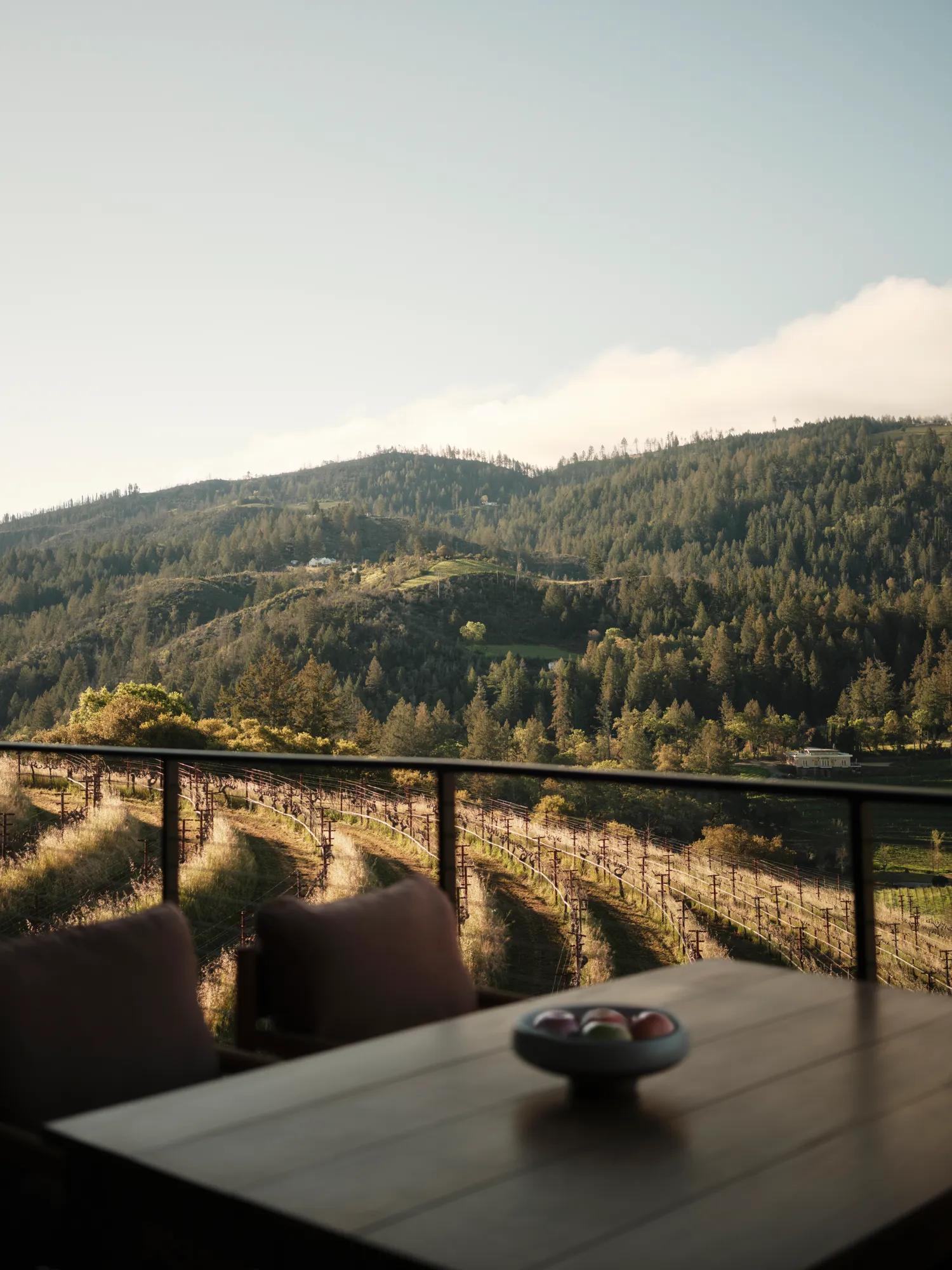 Vineyard View Room 