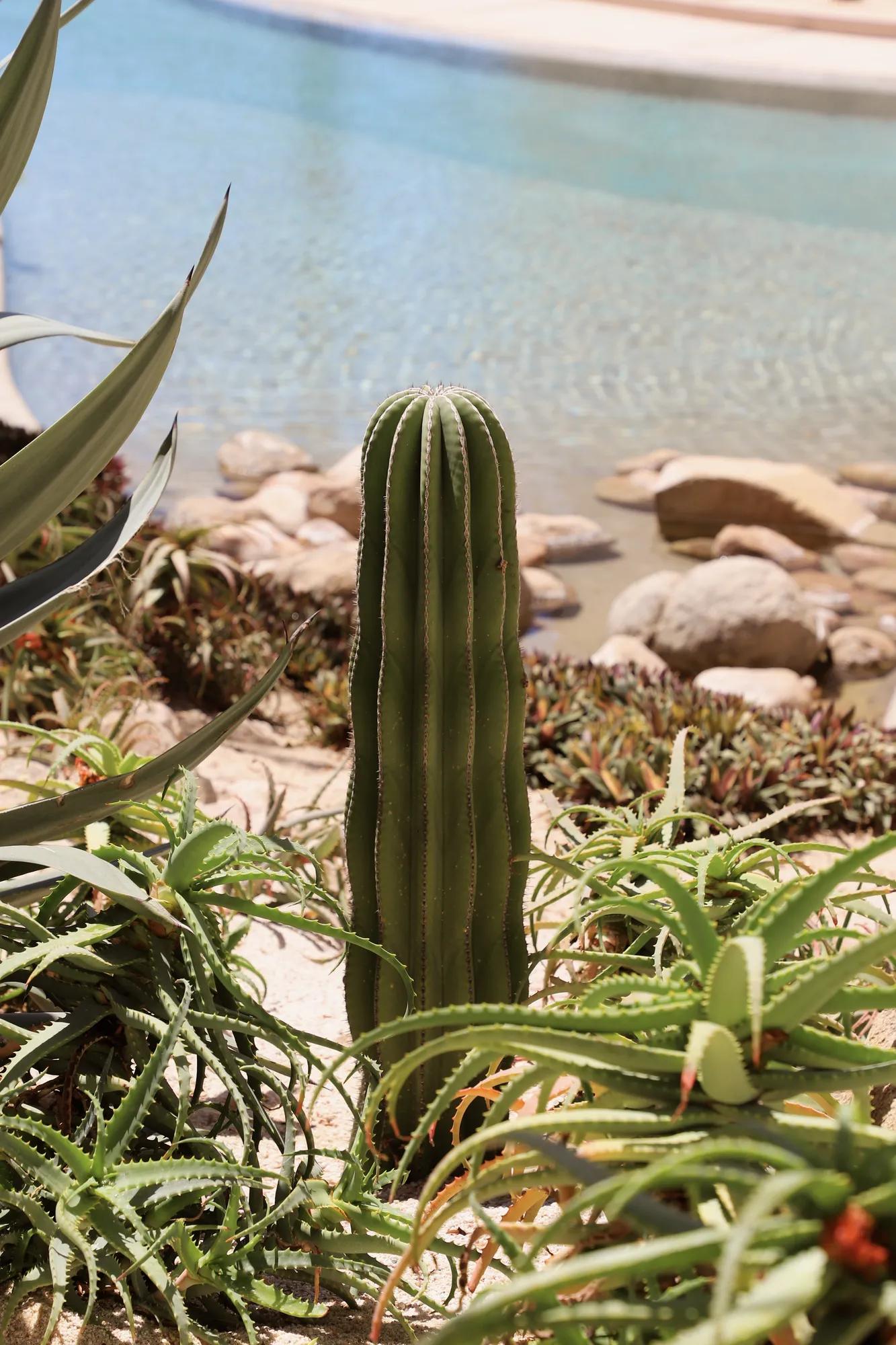 SUSTAINABILITY ROSEWOOD IMPACT