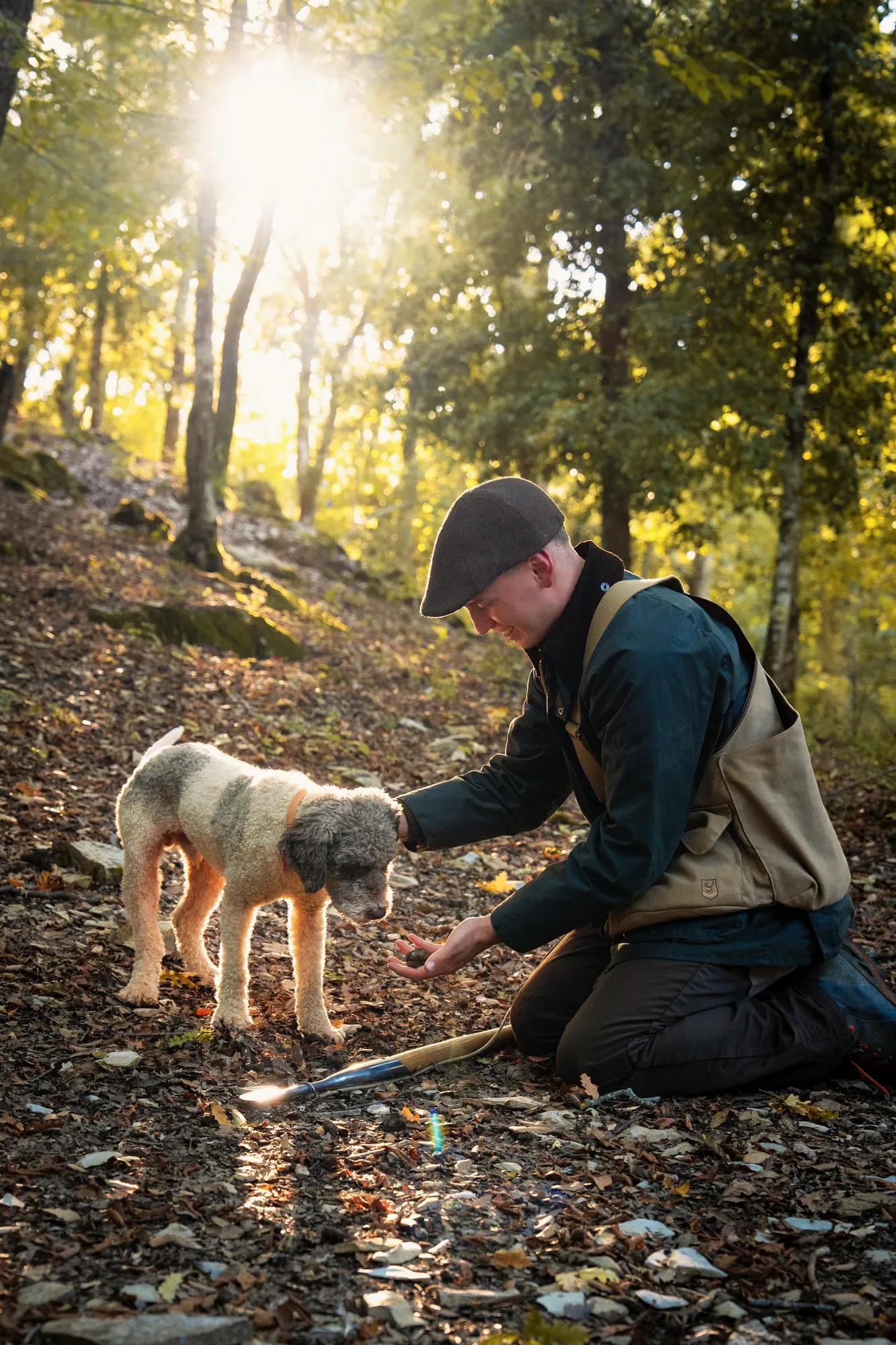 Val d’Orcia rolling hills with a hilltop village.