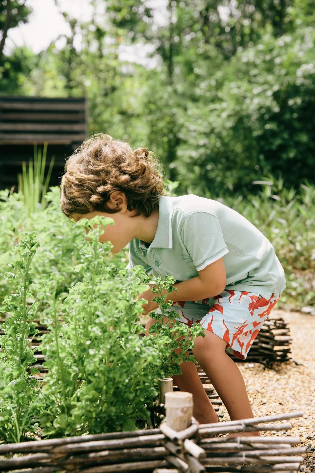 Plant-based cooking class at a luxury resort