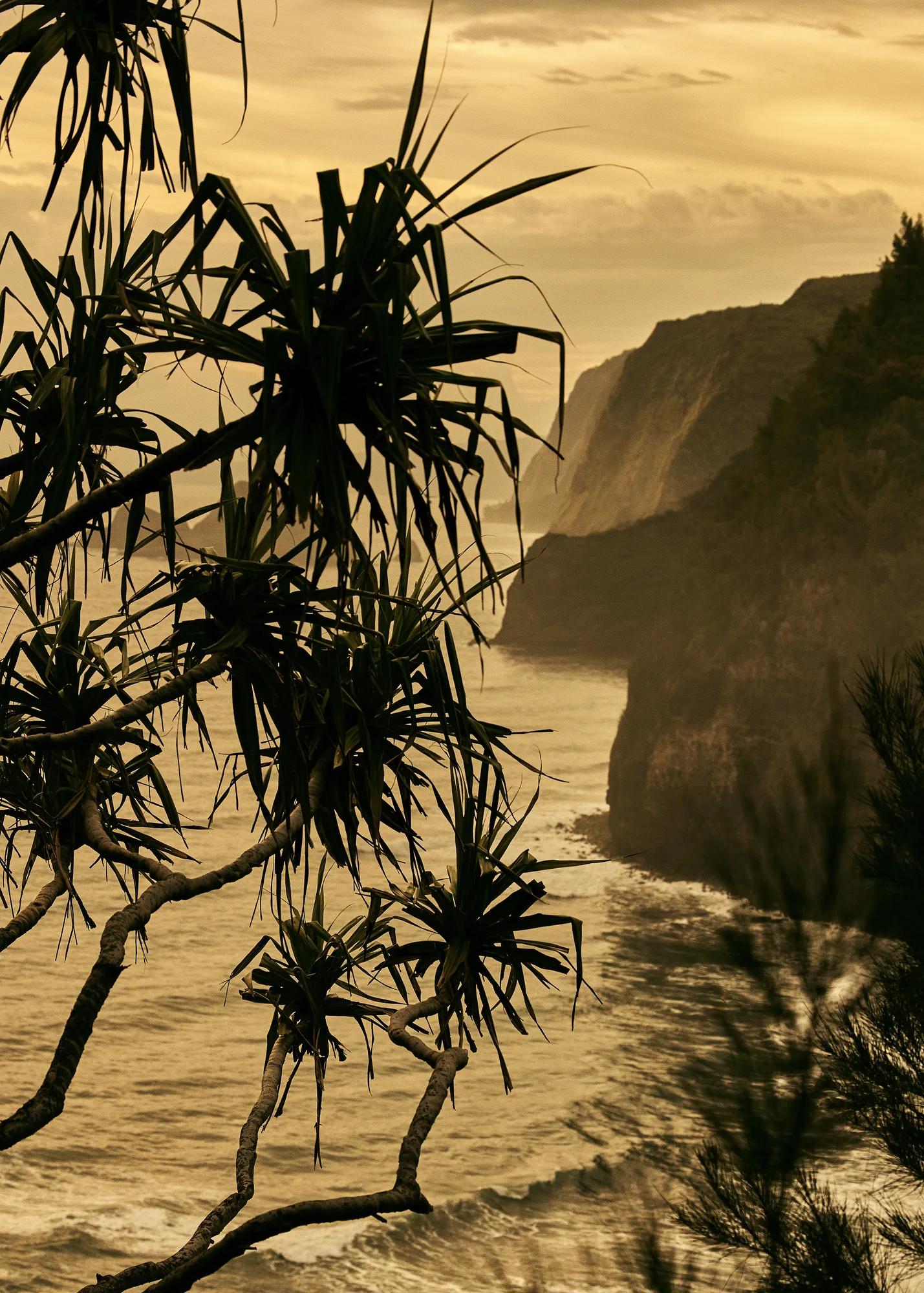 View overlooking cliffs with tree in foreground
