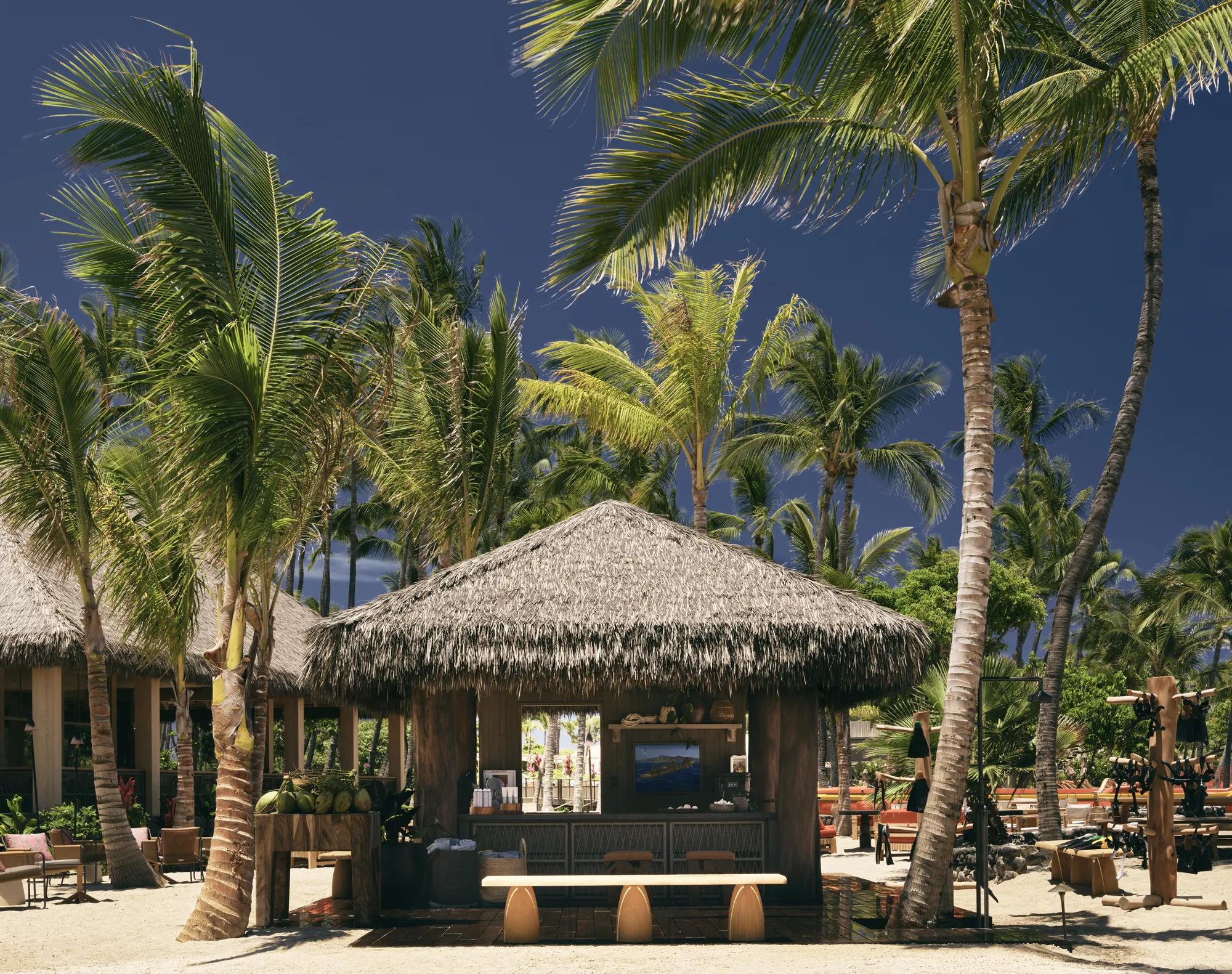 Thatched roof hale on beach with green palms surrounding