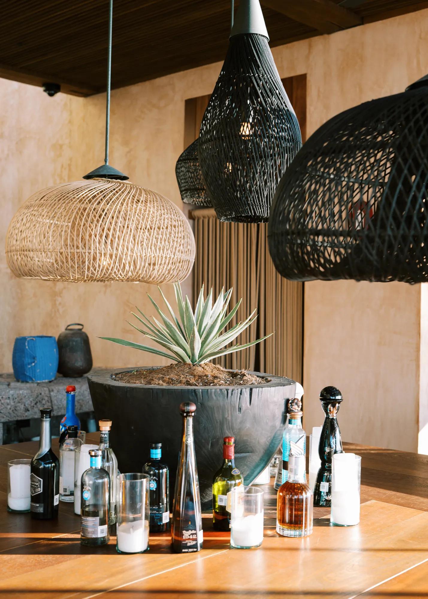 Barra Penasco Agave tasting spirits table