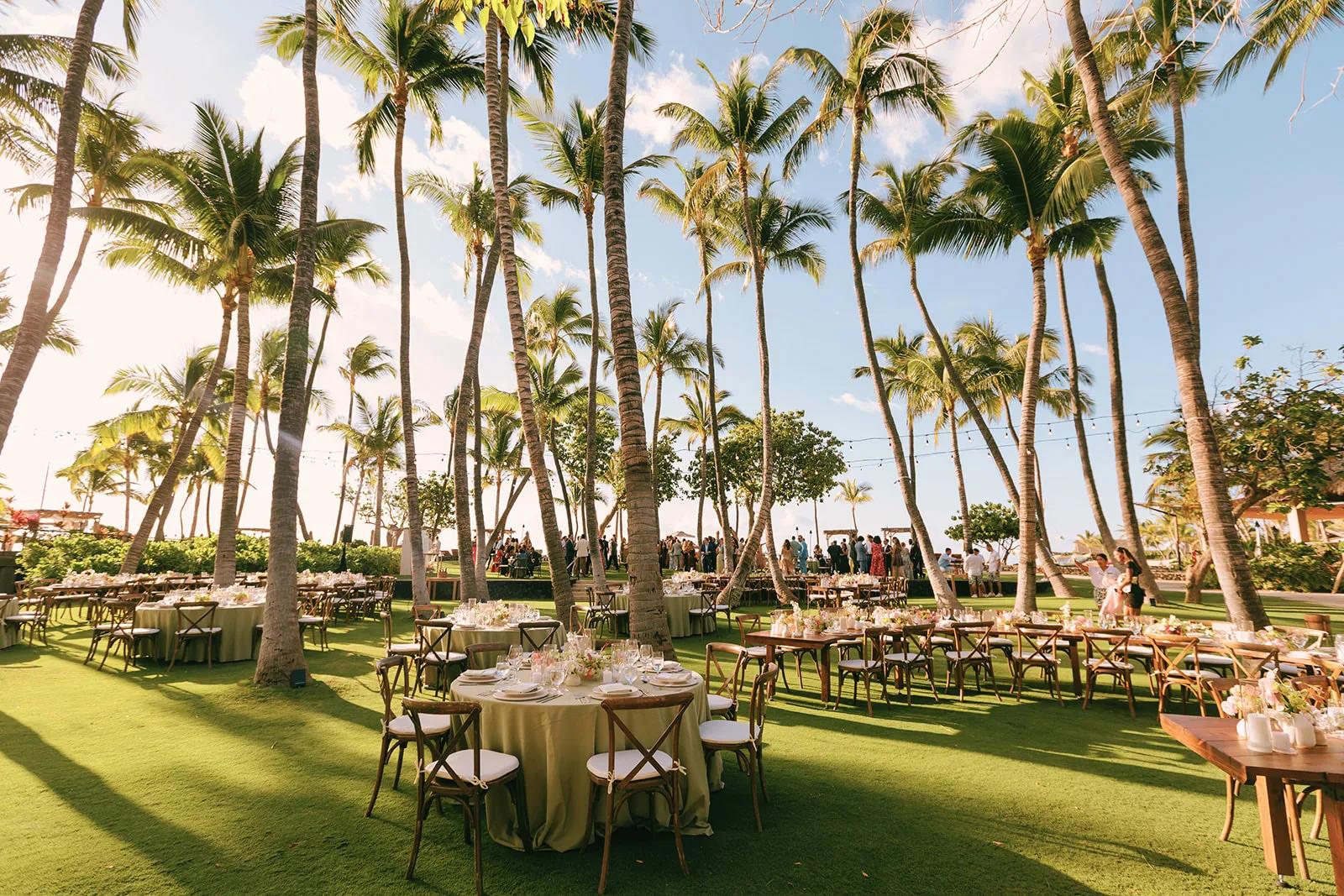 Aerial drone shot of vibrant green lawn next to sparkling blue pool and accross from the ocean with palms trees dotted accross the landscape in addition to beach loungers sprawled accross the beach and near the pool