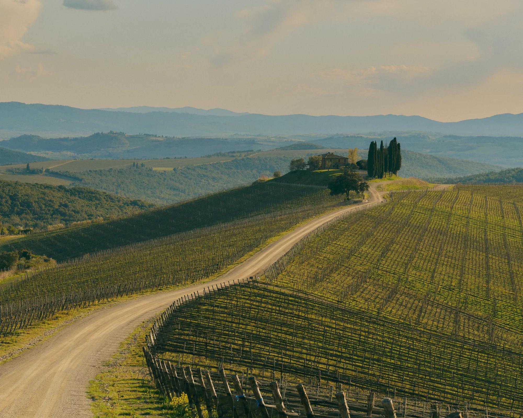 ROSEWOOD CASTIGLION DEL BOSCO