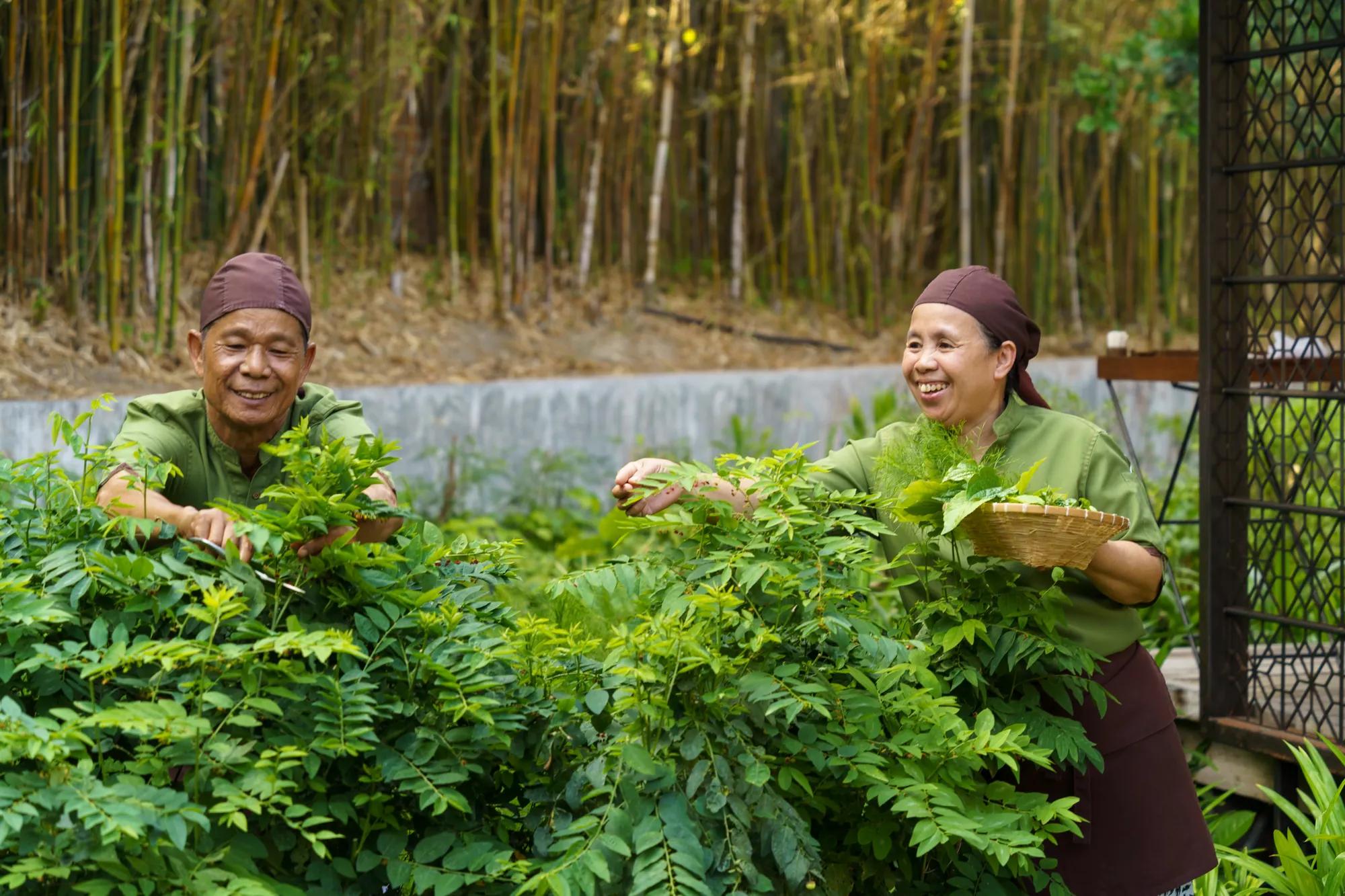 Plant-based cooking class at a luxury resort