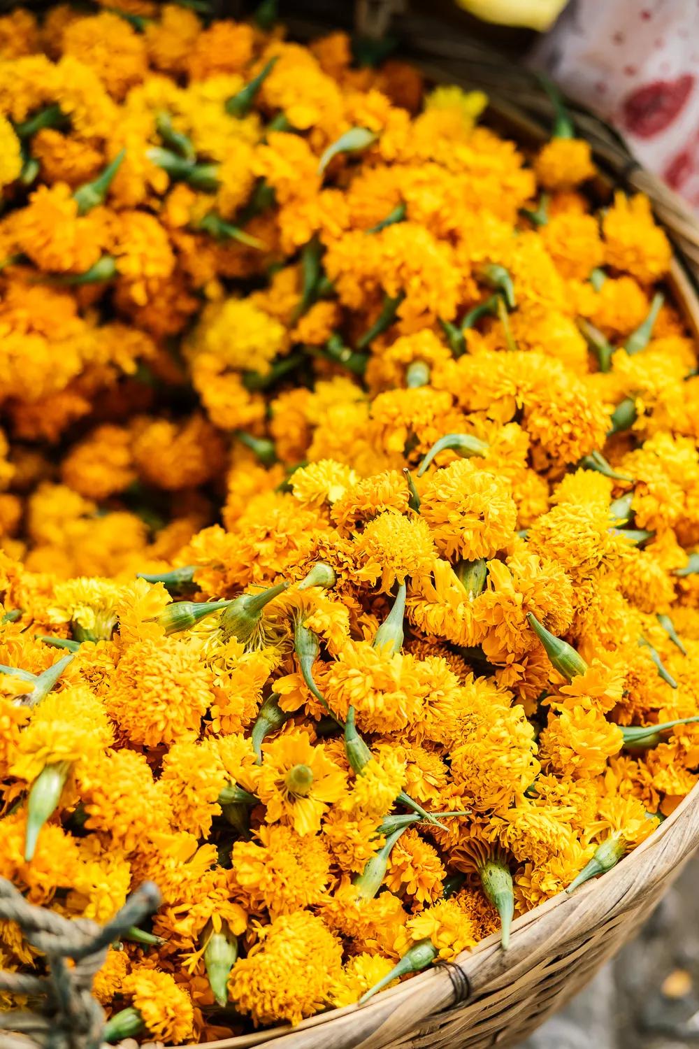 Rosewood Luang Prabang