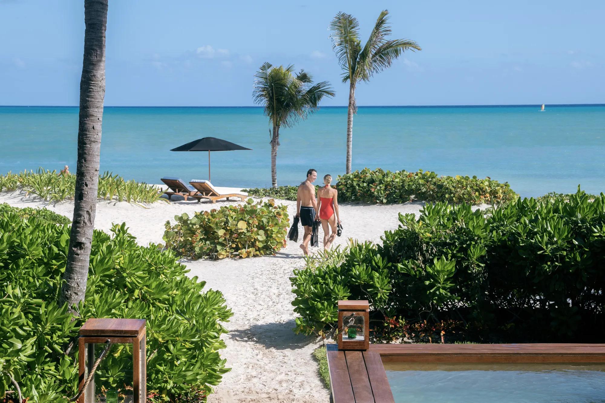 Scuba Diving and Snorkeling