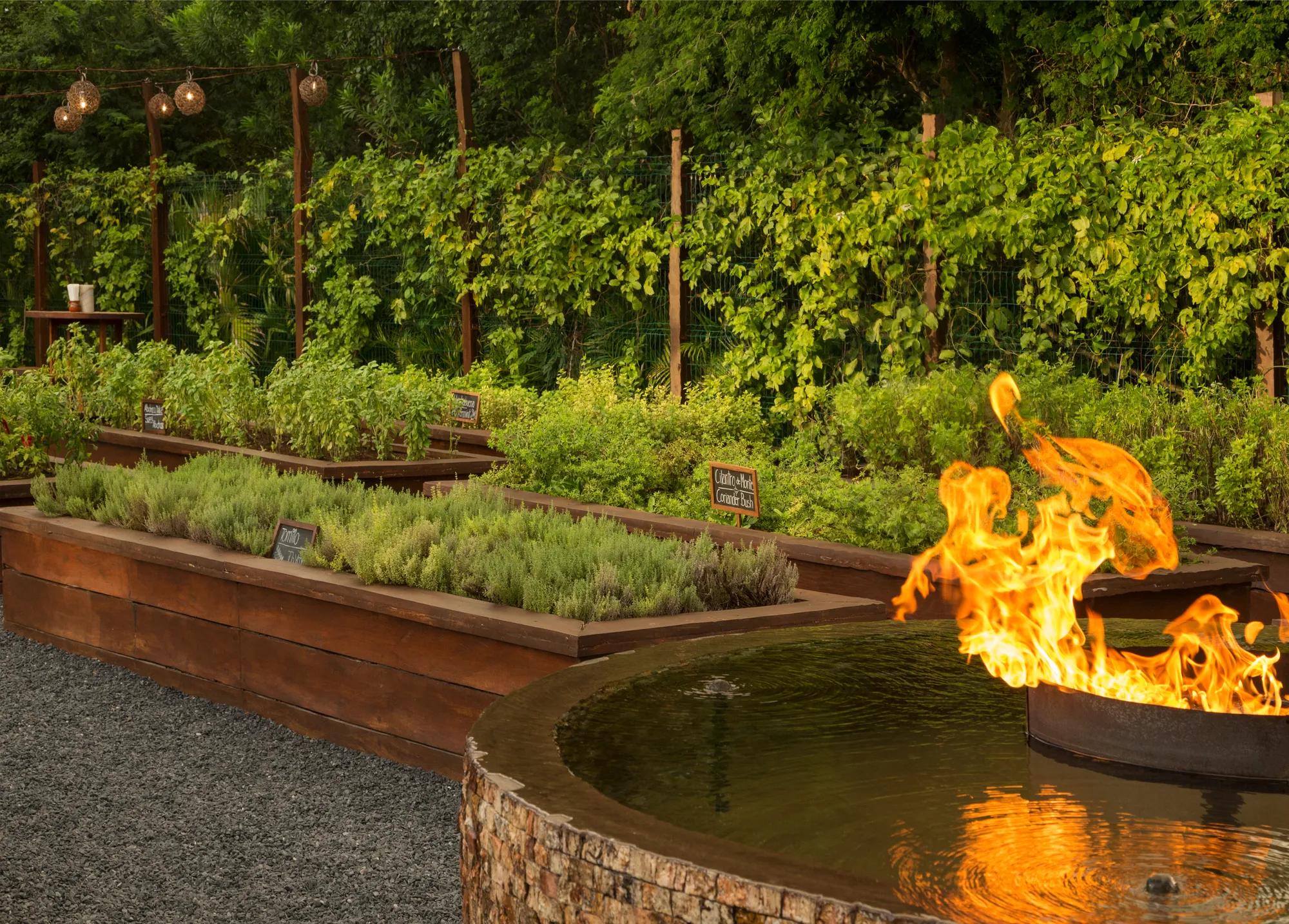 Rosewood Mayakoba - La Ceiba restaurant fire pit at sunset