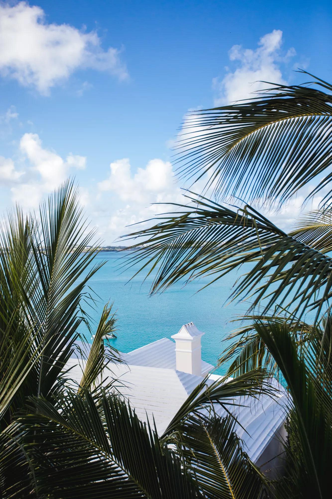 Destination OnProperty Houses PalmsRoofOceanView 1