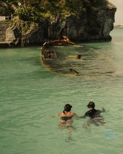 Coral Gardening