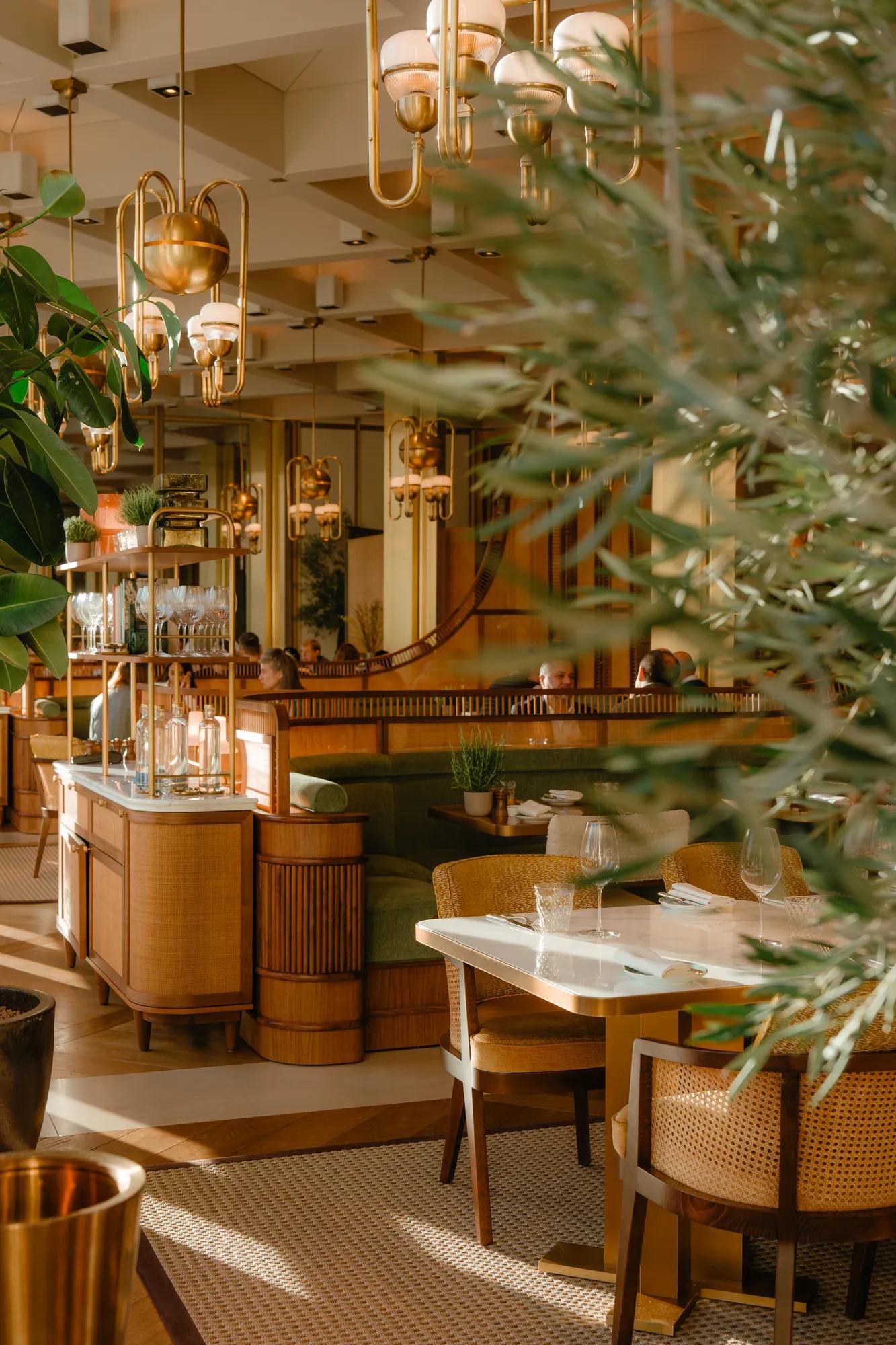 interiors serra at the chancery rosewood Mediterranean restaurant 