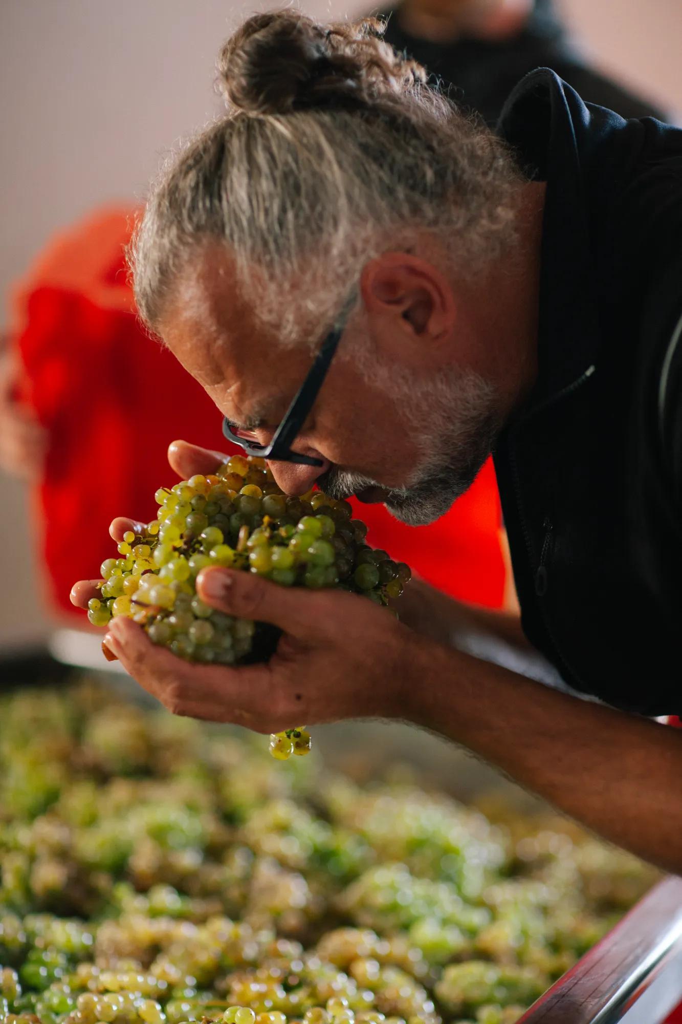 ‘Meet the Vintner’ Tour