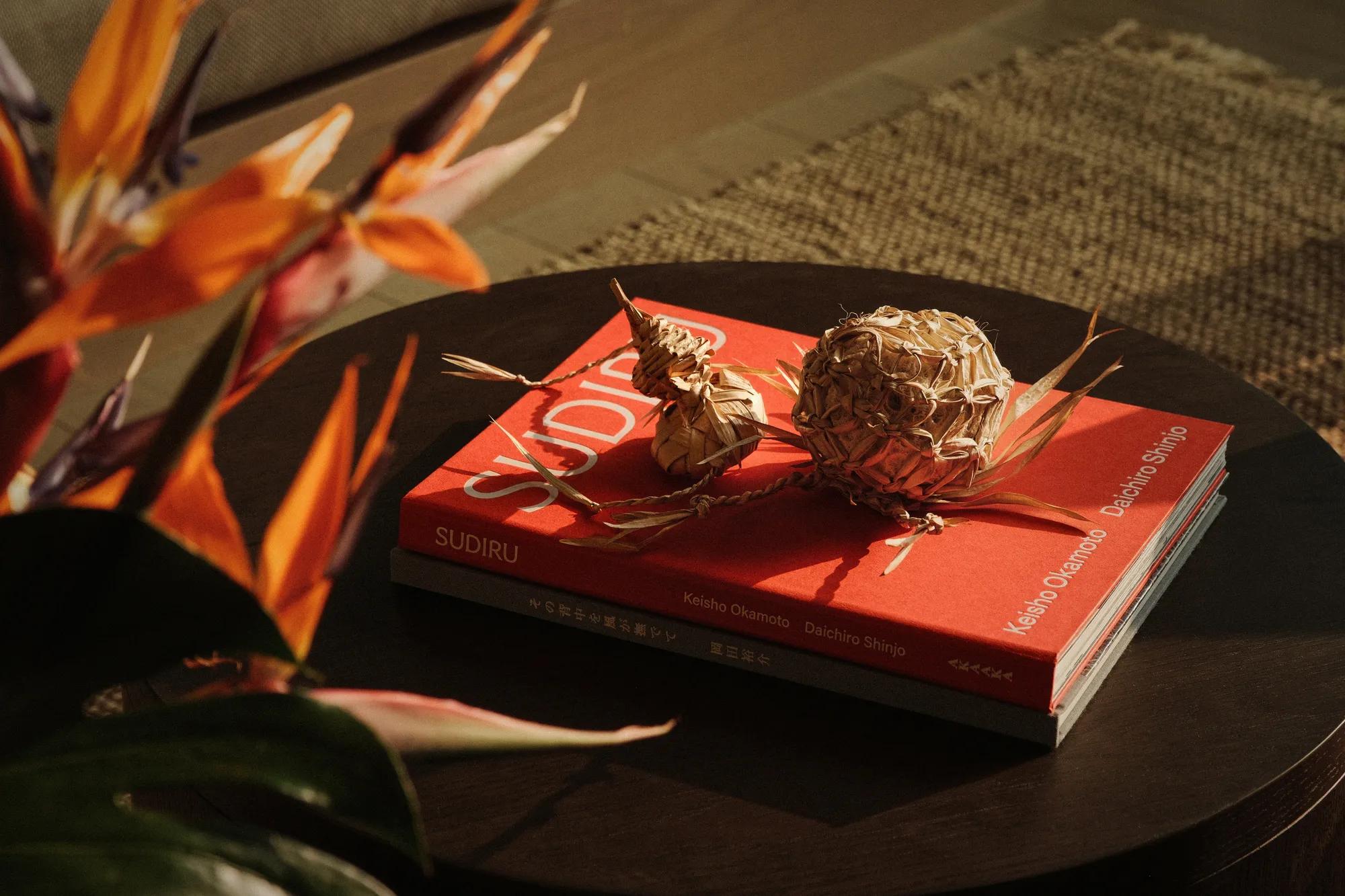 SUDIRU The Island Through Art