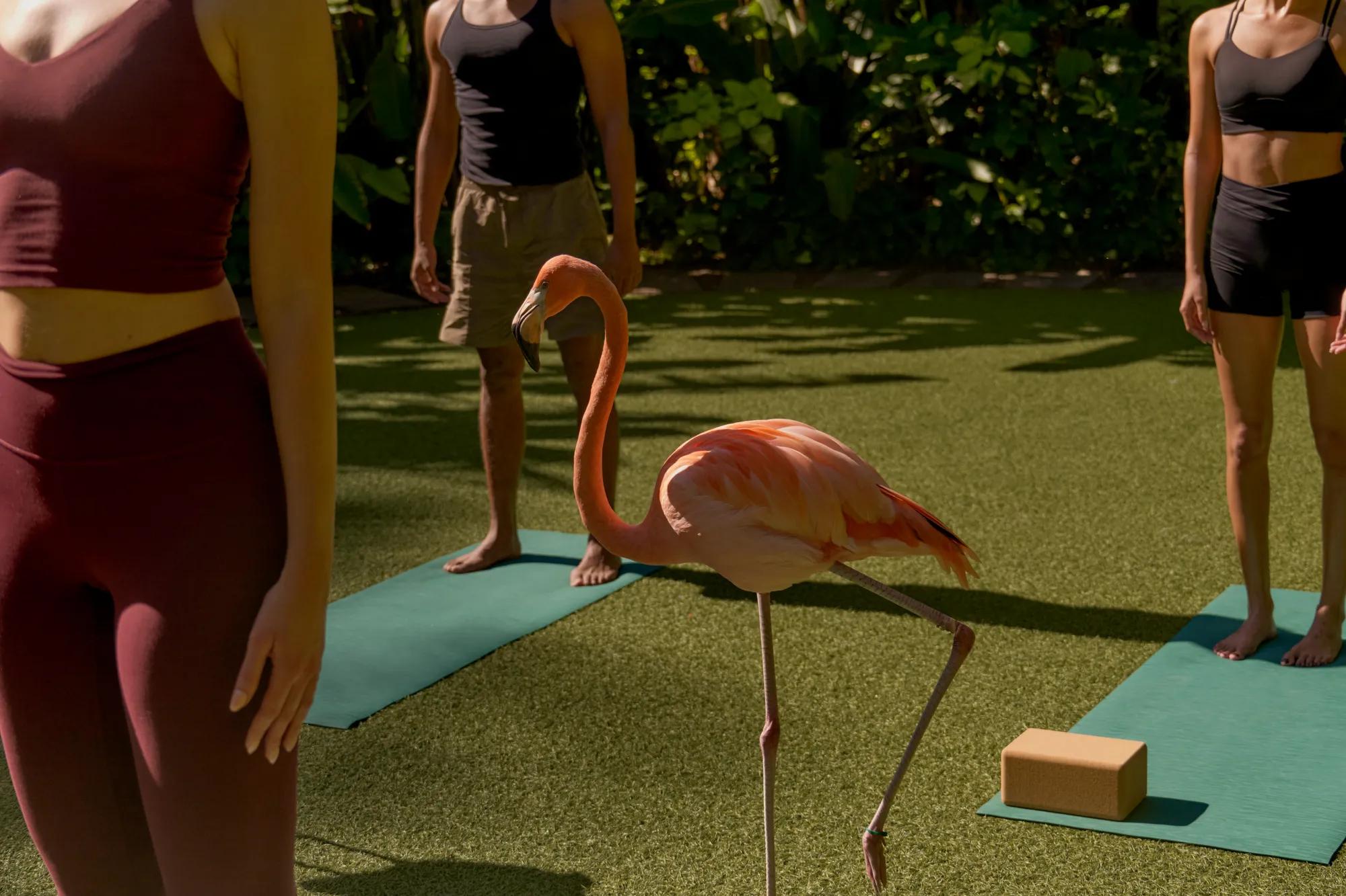 Fitness at Rosewood