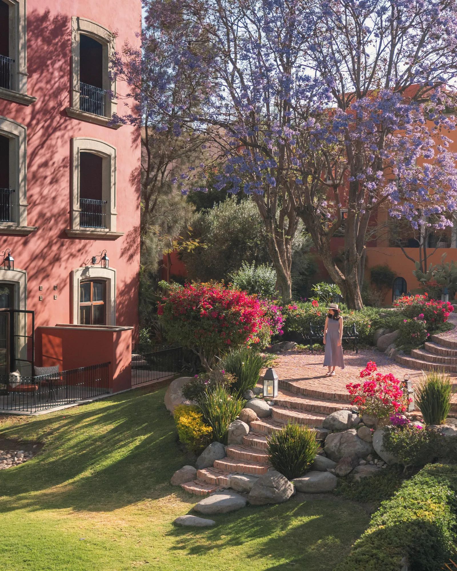 A woman wearing a purple dress and hat is walking down brick stairs toward a garden. Behind her is a tree with purple leaves, and to the left are balconies and terraces of rooms. Around the stairs are large stones and colorful plants in shades of purple, pink, and mauve.