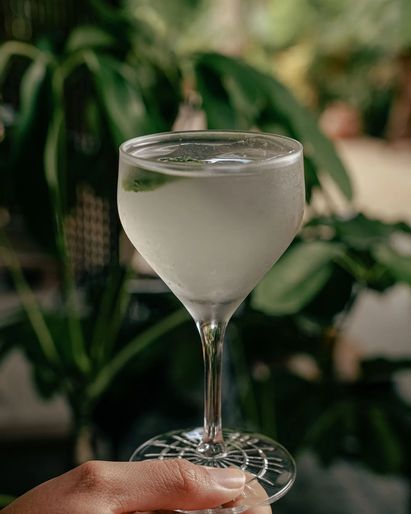 Zapote Bar