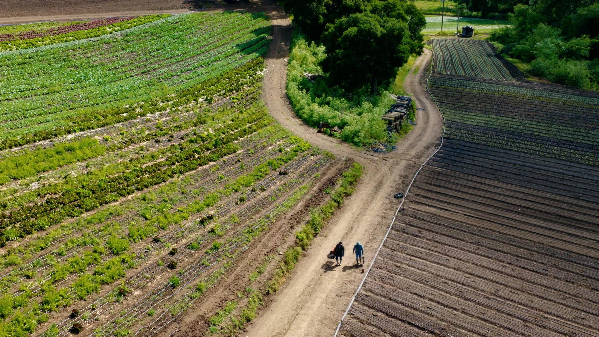 farm to table at madera restaurant