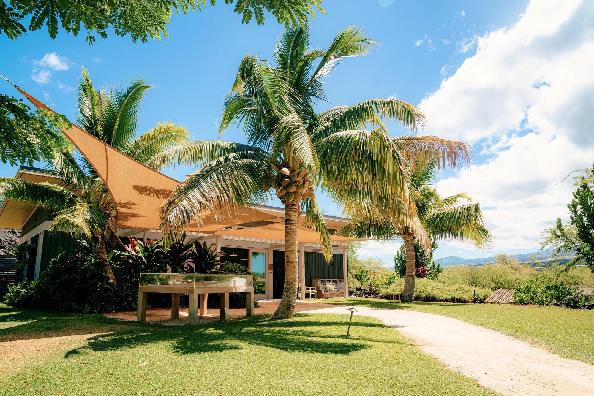 Exterior of structure with shade and palms surrounding, green grass and light coral pathway leading to entrance