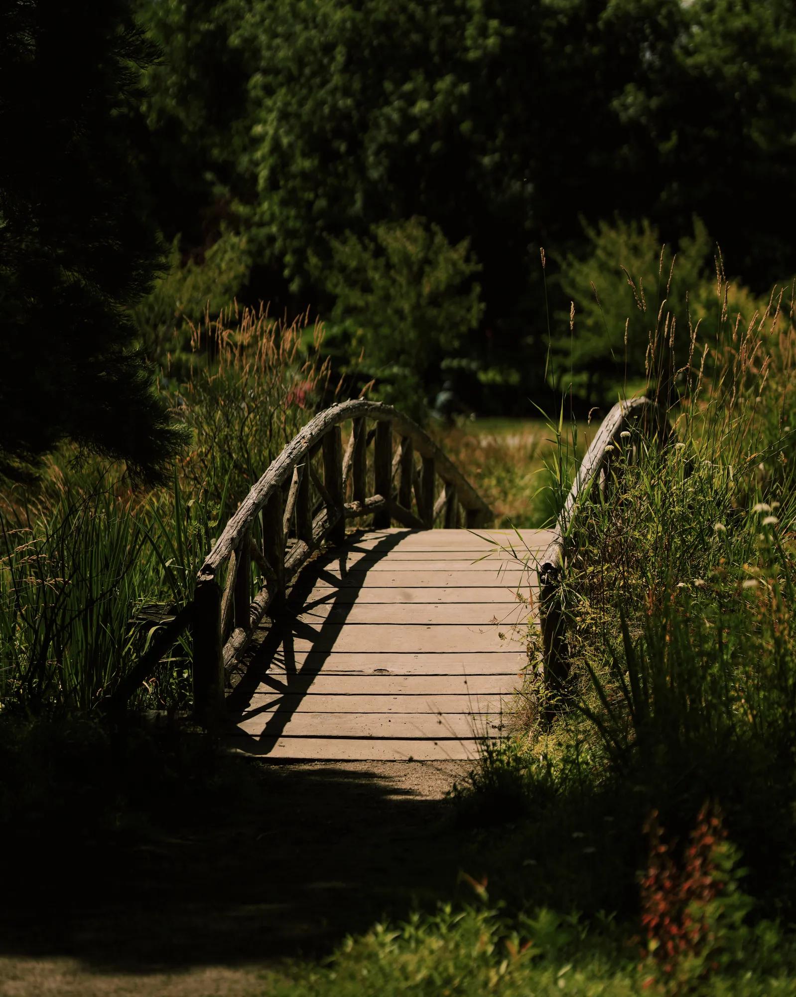 Image of a bridge in Stanley Park