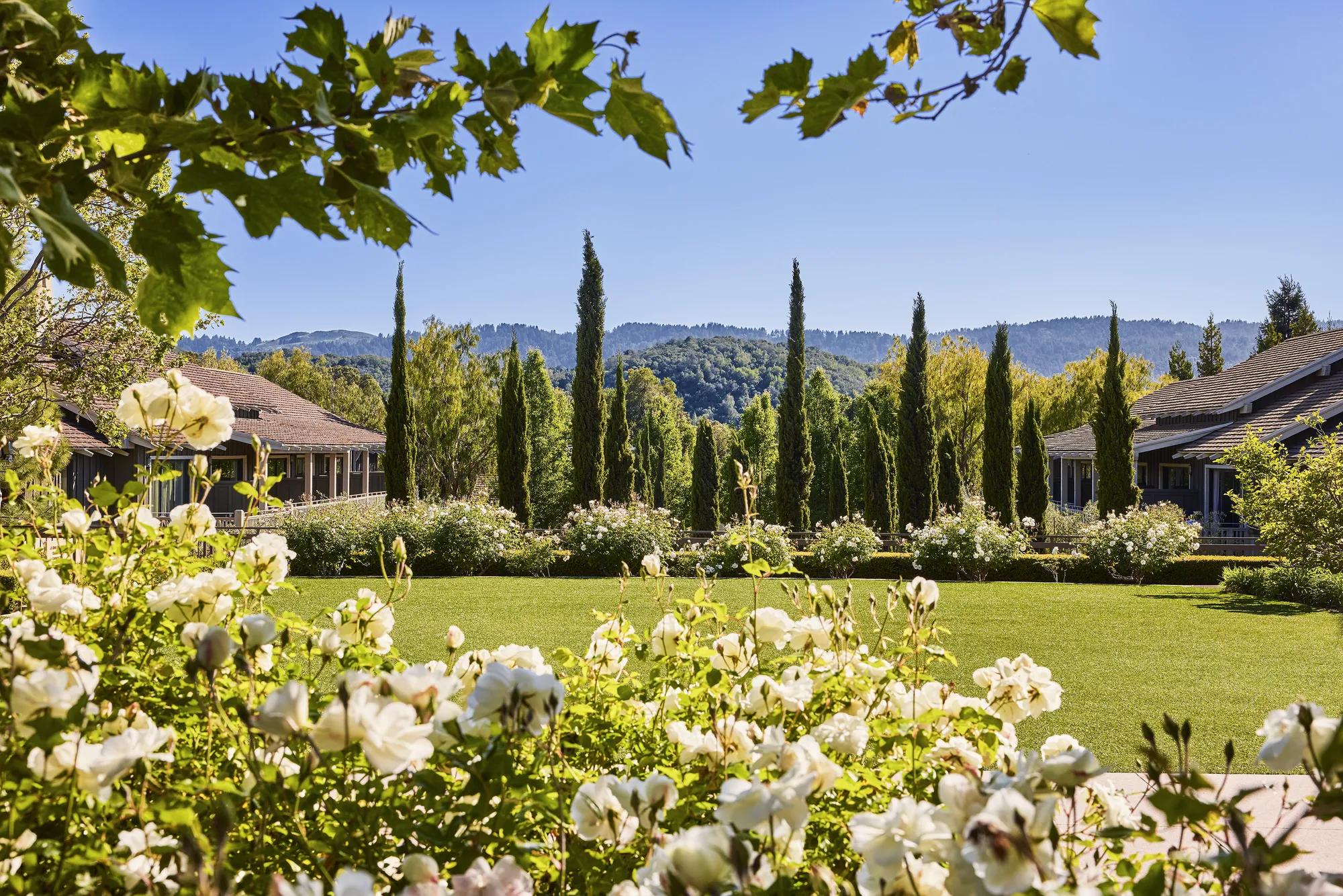 EXTERIOR SUNSETLAWN OUTDOOR SPACE