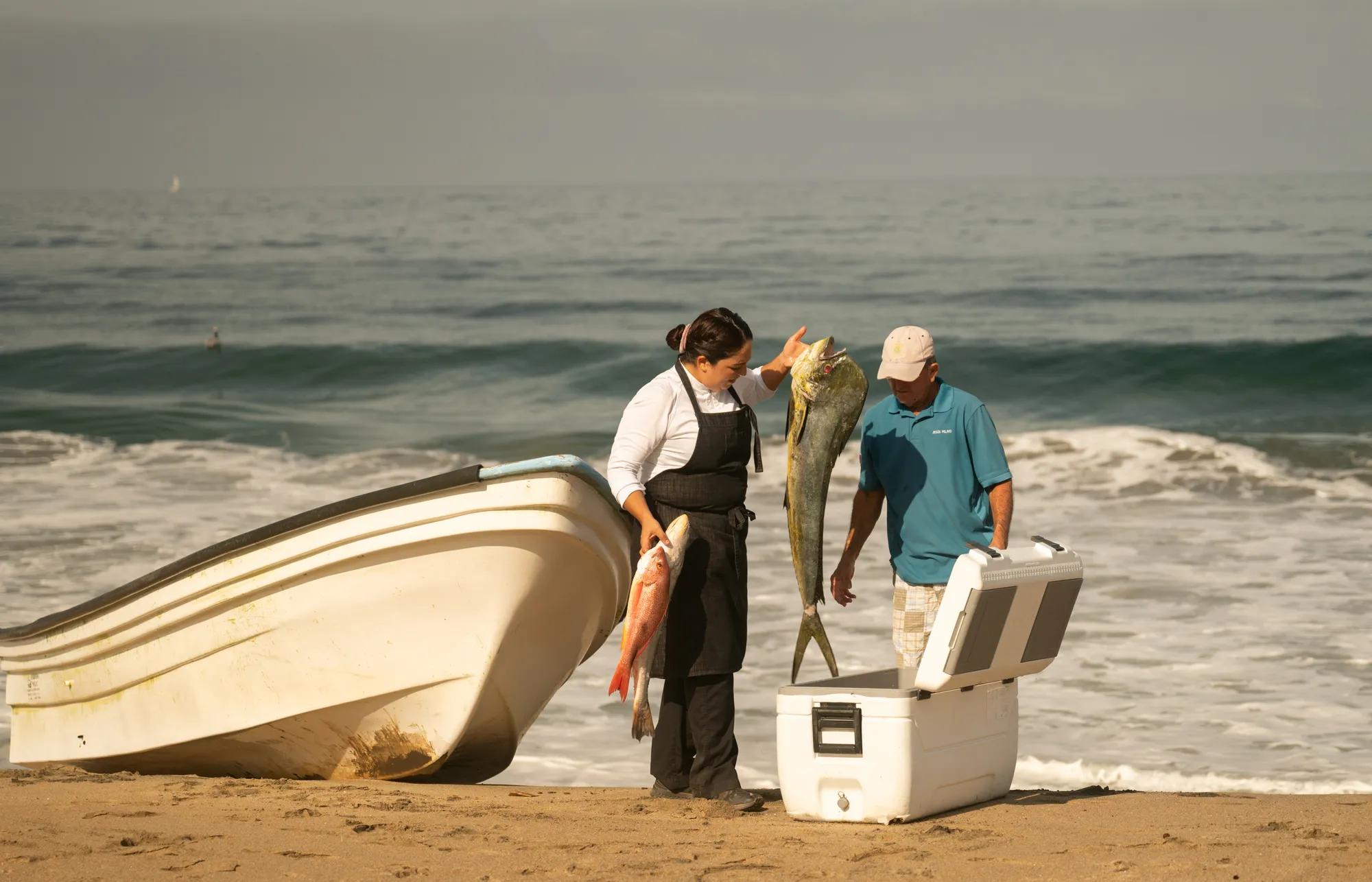 Fish Market Fishmonger Arrival Chef