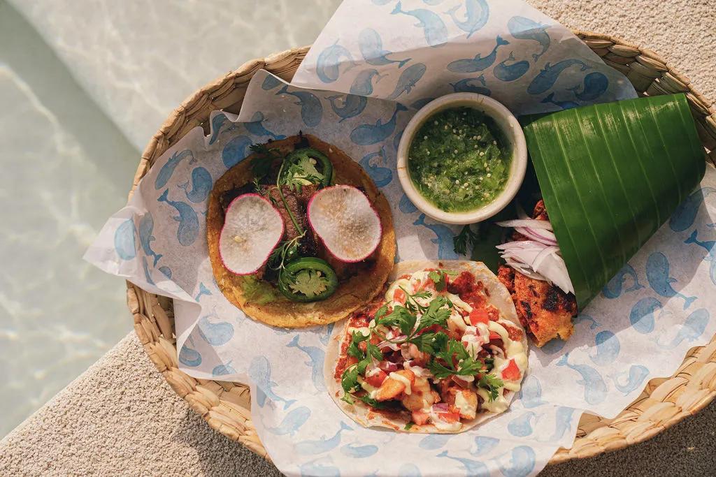 Overview of Overview of a local Yucatán farm with rows of crops in the foreground and a plant nursery visible in the back right corner.a local Yucatán farm with rows of crops in the foreground and a plant nursery visible in the back right corner.