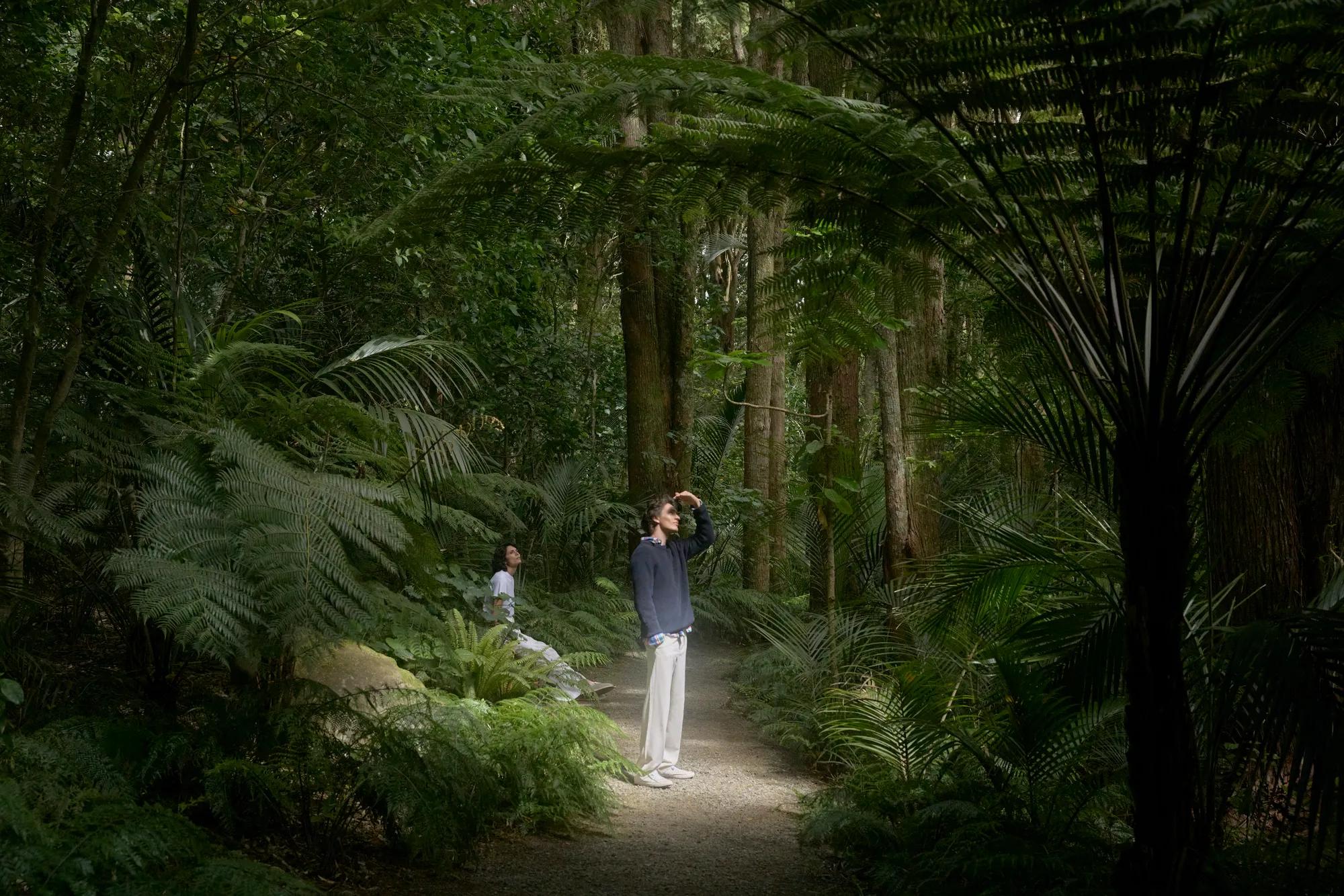 Couple sit and stand in native New Zealand forest, lit up by the sun the look up to the canopy above