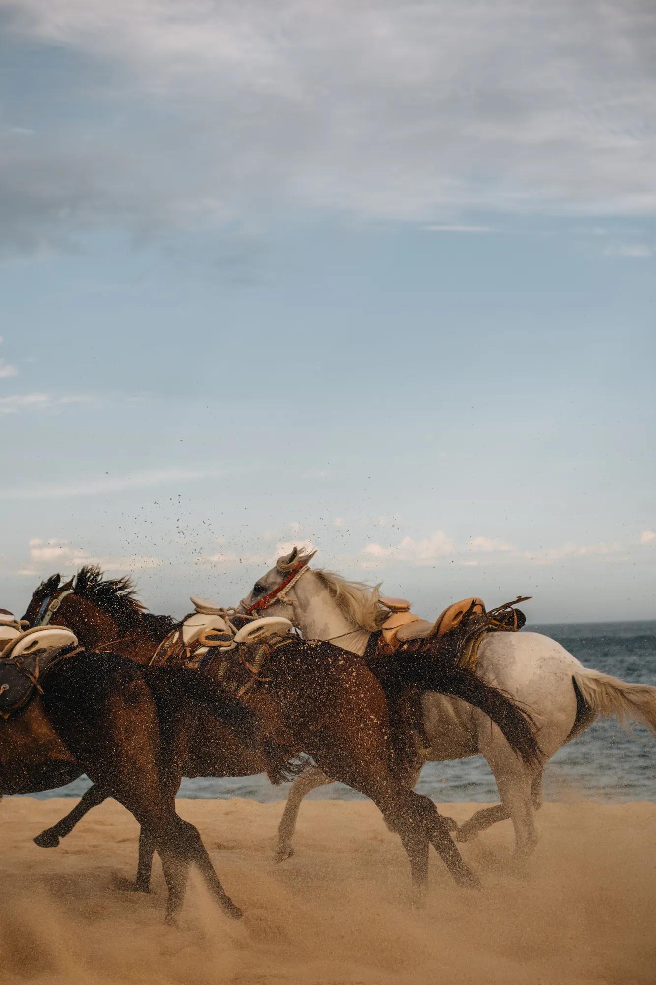 Horseback Riding at Sunset