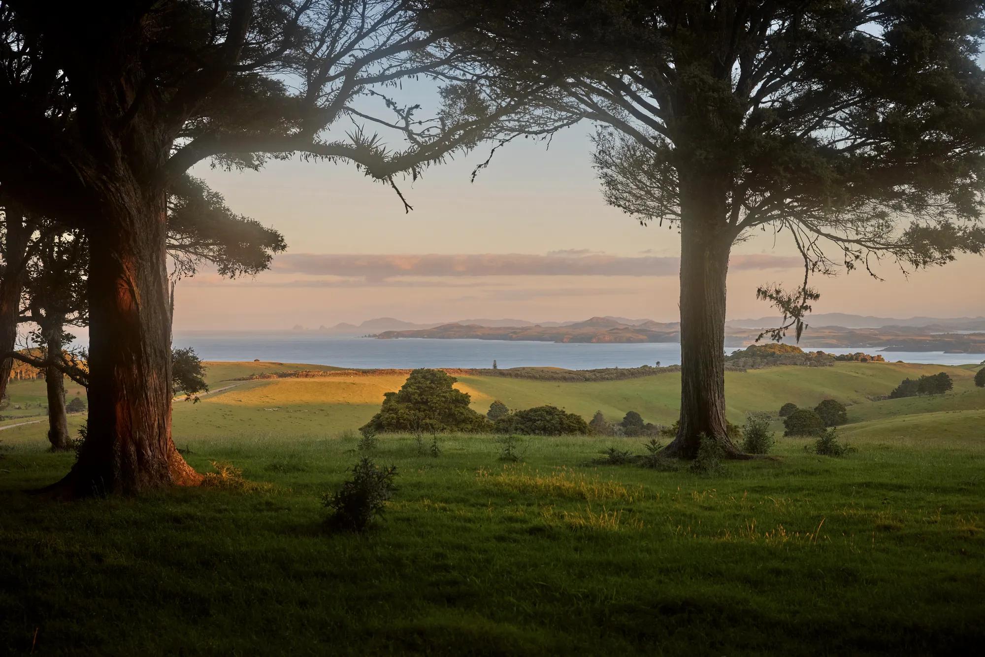View from a wooded area over the property out to the Pacific Ocean.