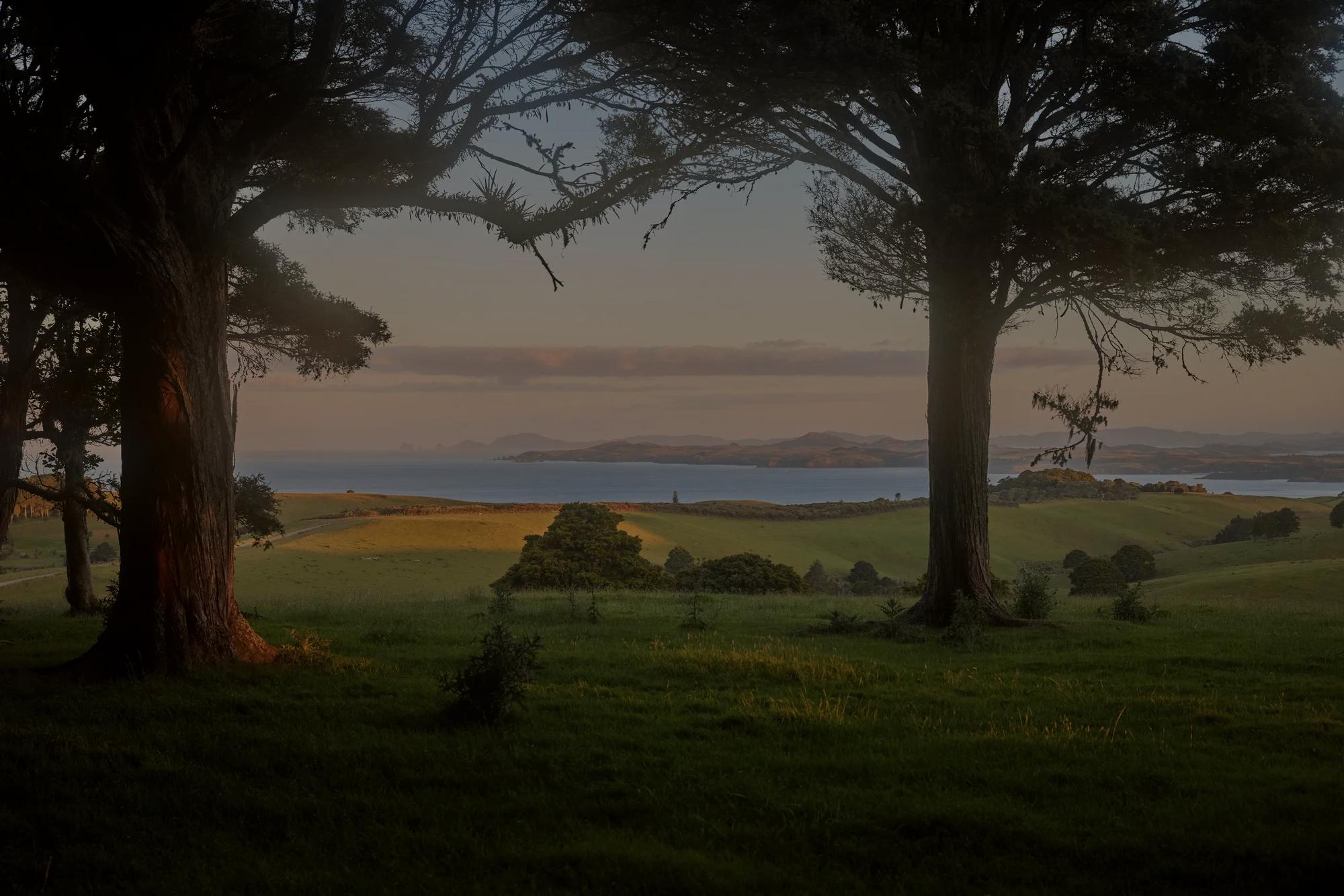 View from a wooded area over the property out to the Pacific Ocean.