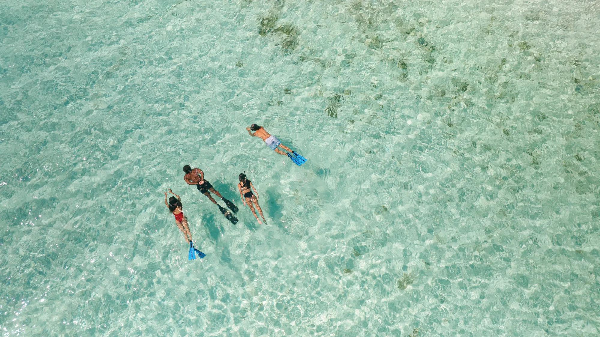 Experiences Ocean Guardian 41