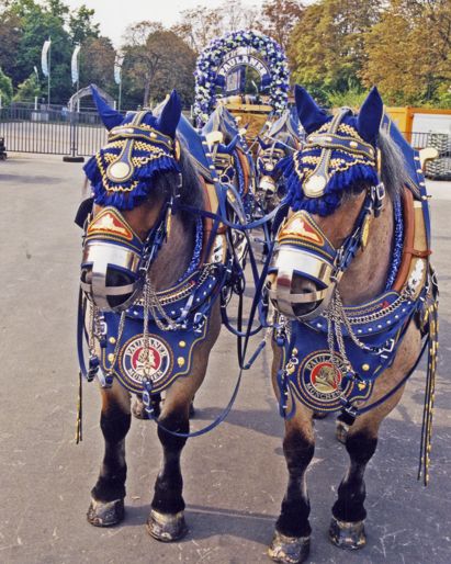 Oktoberfest Trachtenumzug