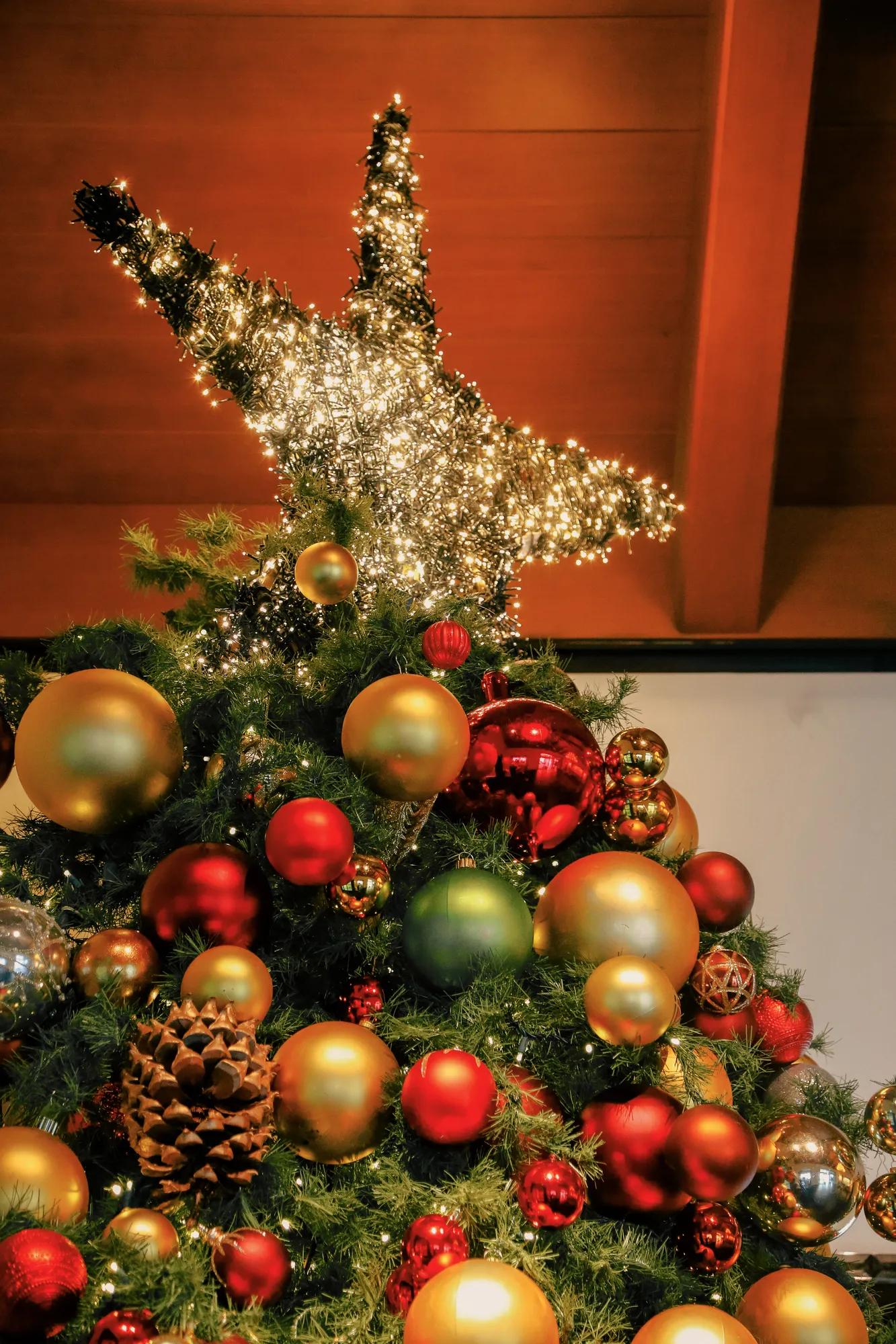 EXTERIOR SUNSETLAWN OUTDOOR SPACE