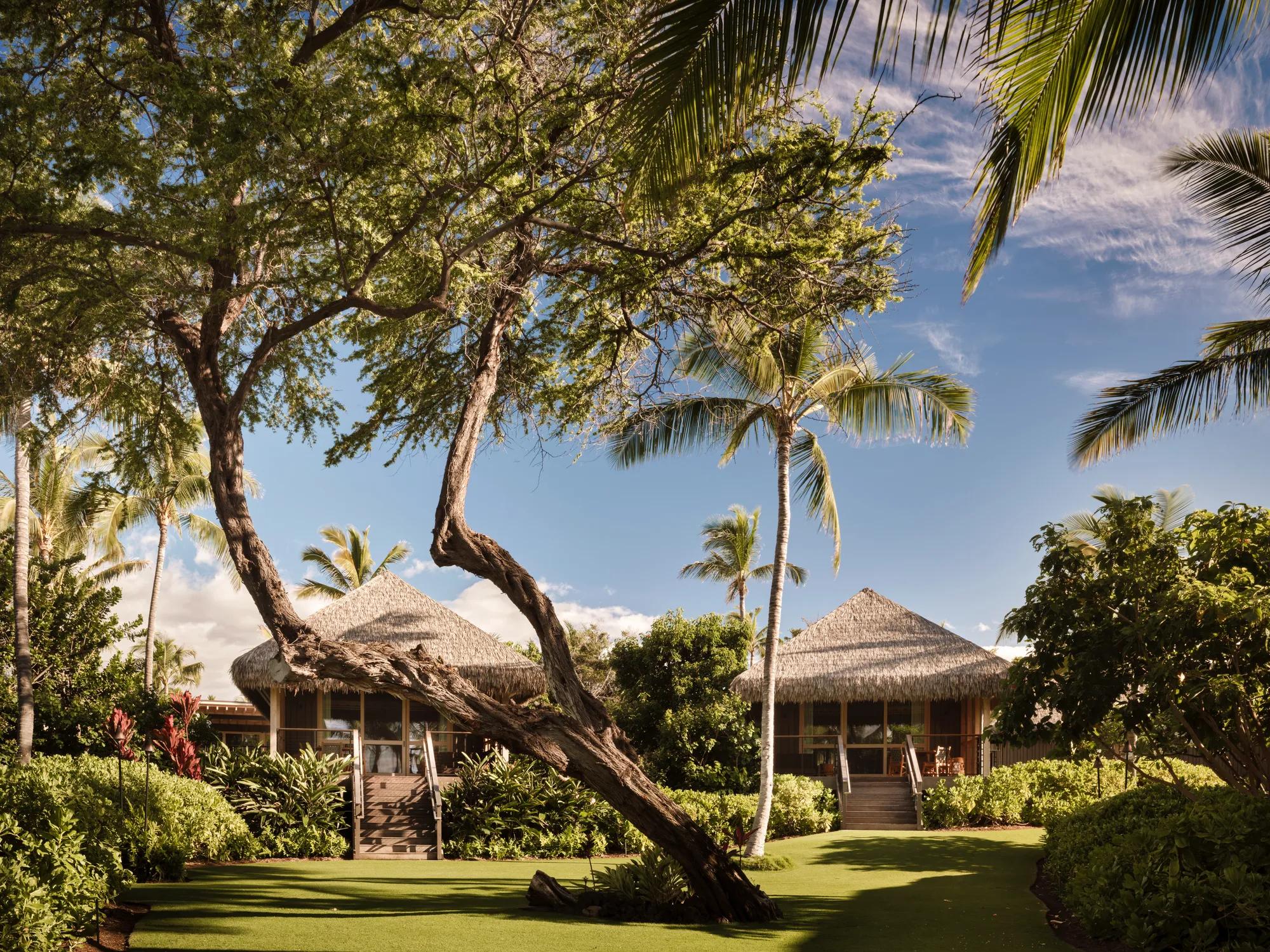 Tropical resort bungalows surrounded by palm trees and lush greenery under a sunny blue sky.