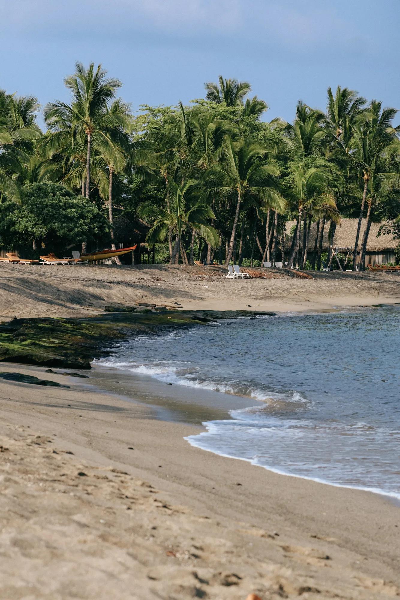 Ocean coastline with surf washing up on white sand beach with palm trees in the background