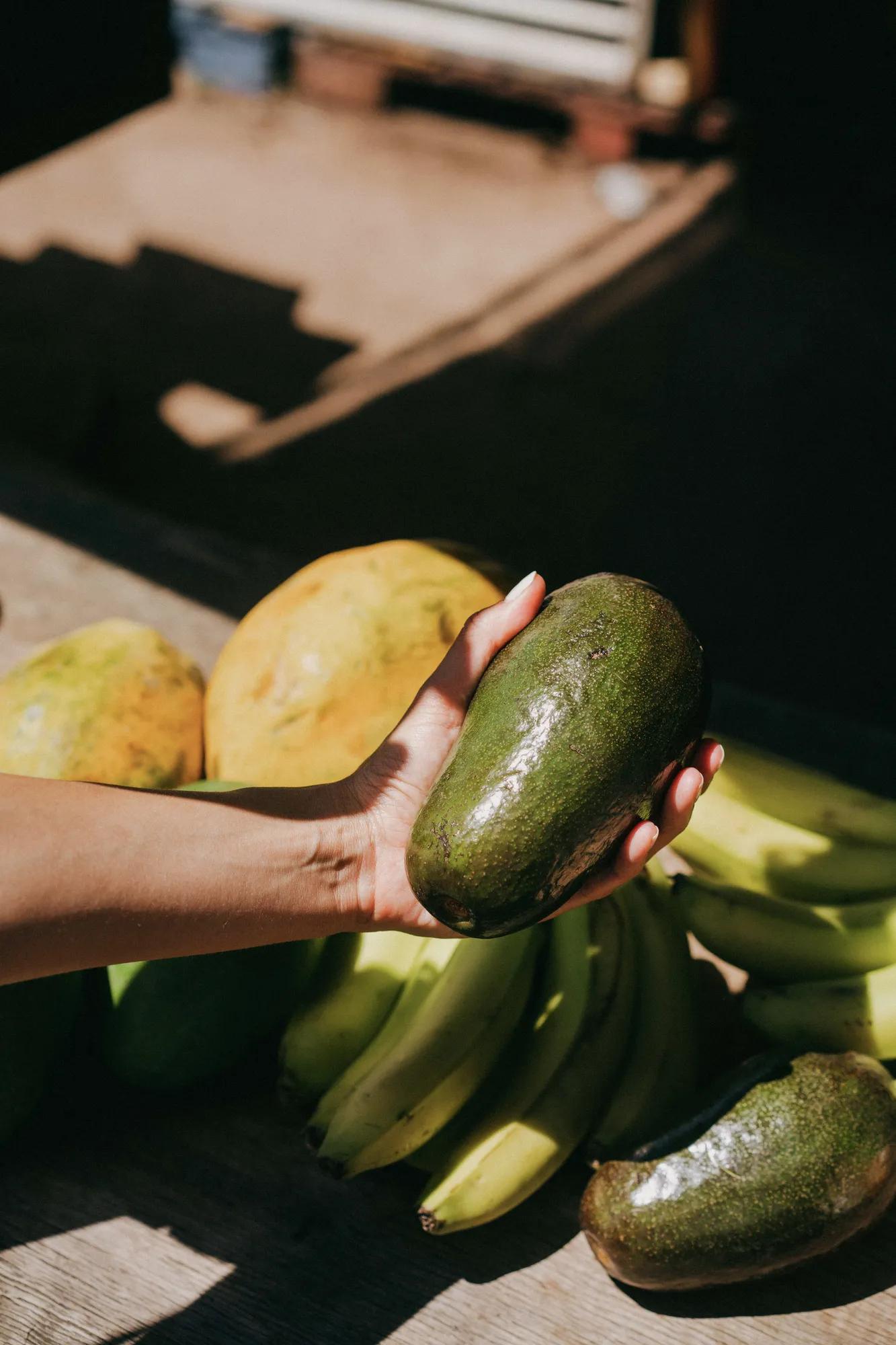 Avocado at Fruit stand