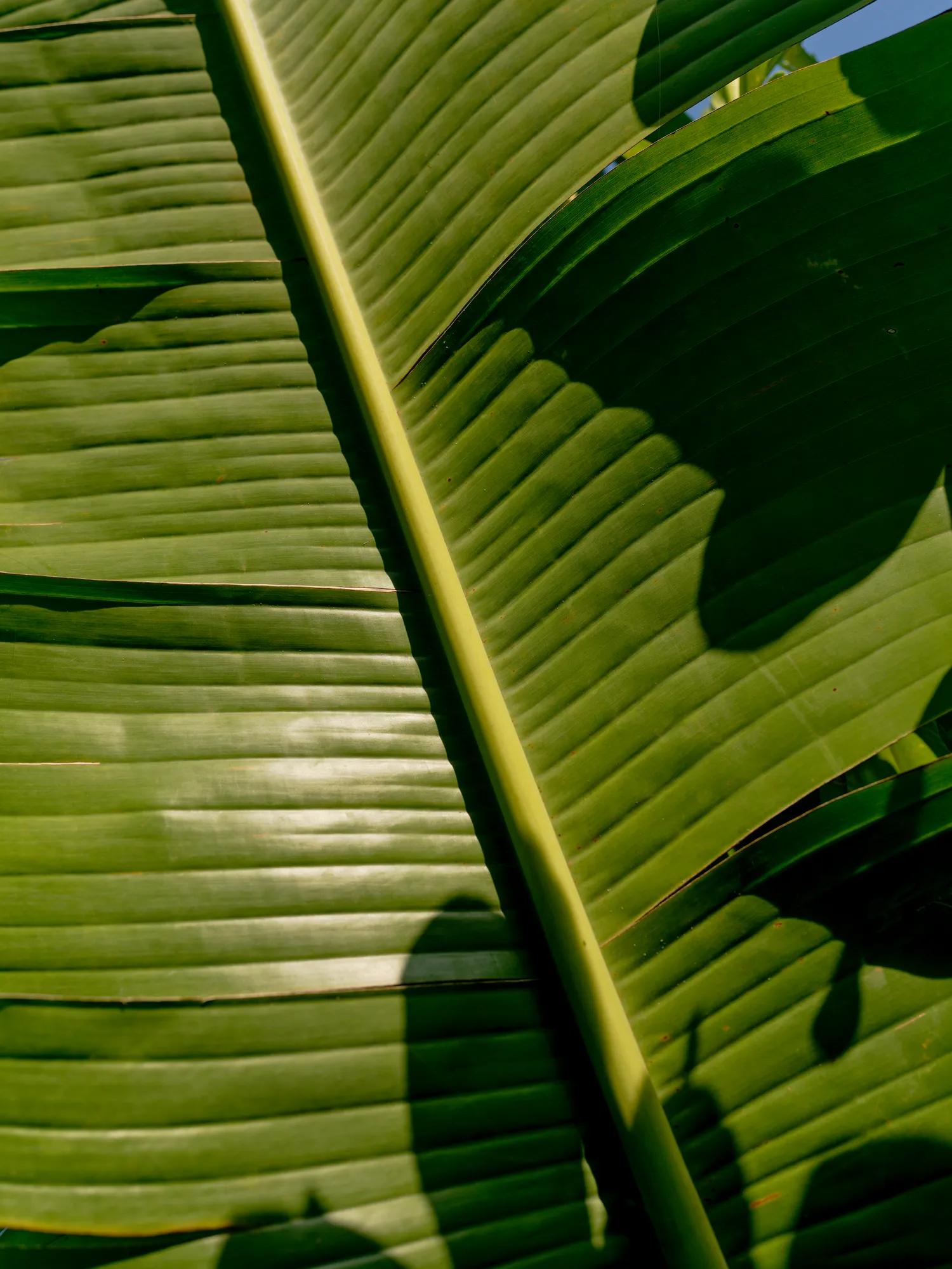 Destination Lifestyle Garden