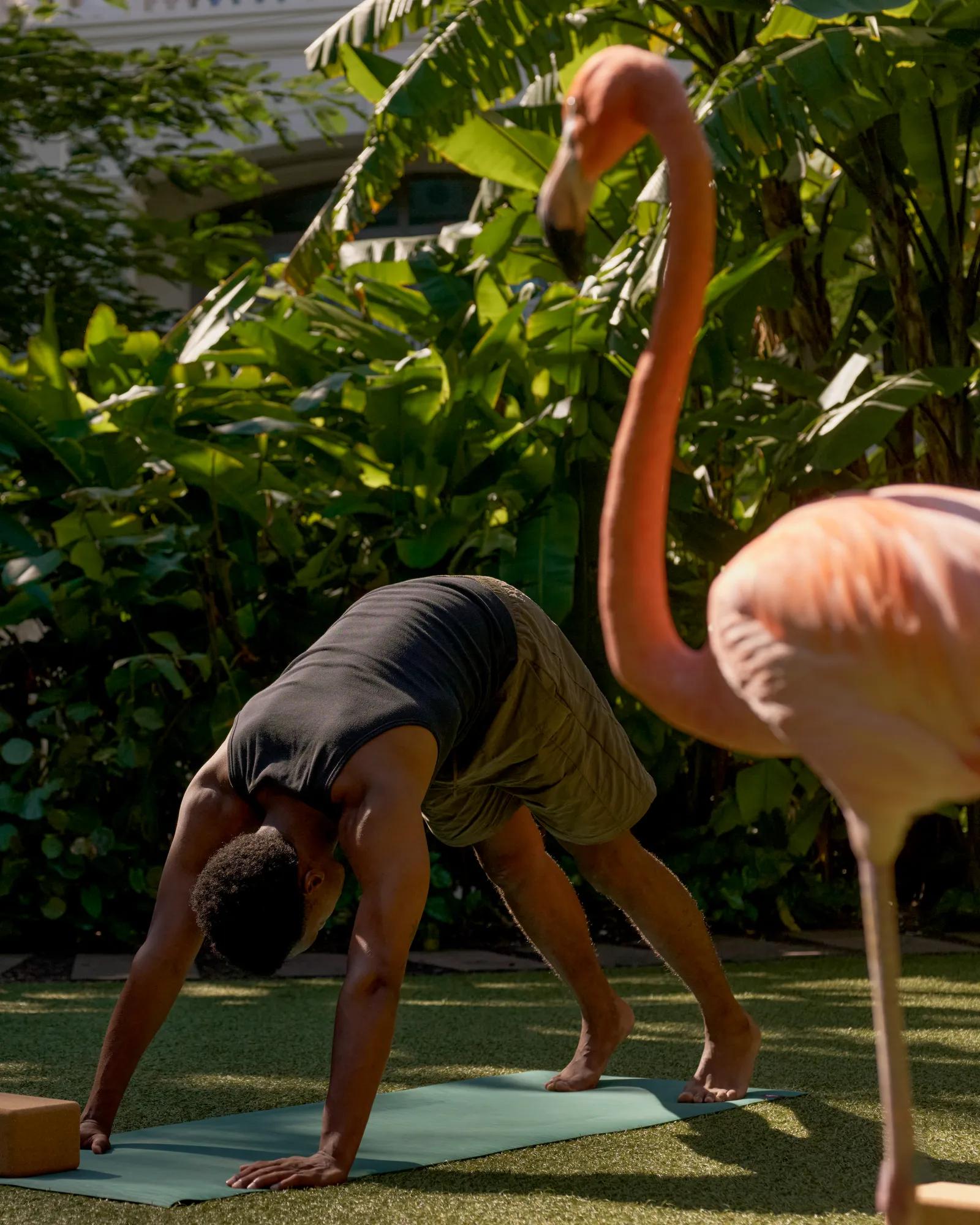 Experience OnProp FlamingoYoga 