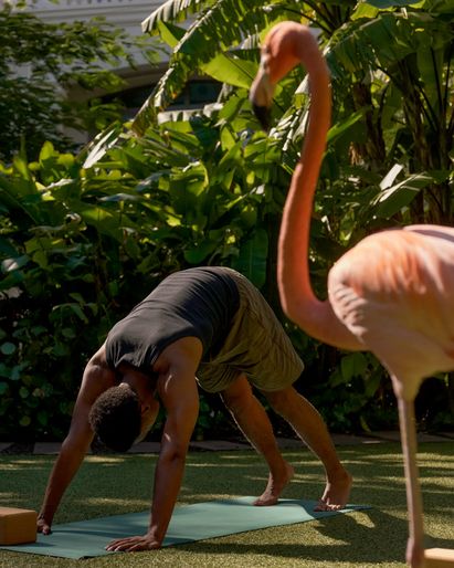 Experience OnProp FlamingoYoga 