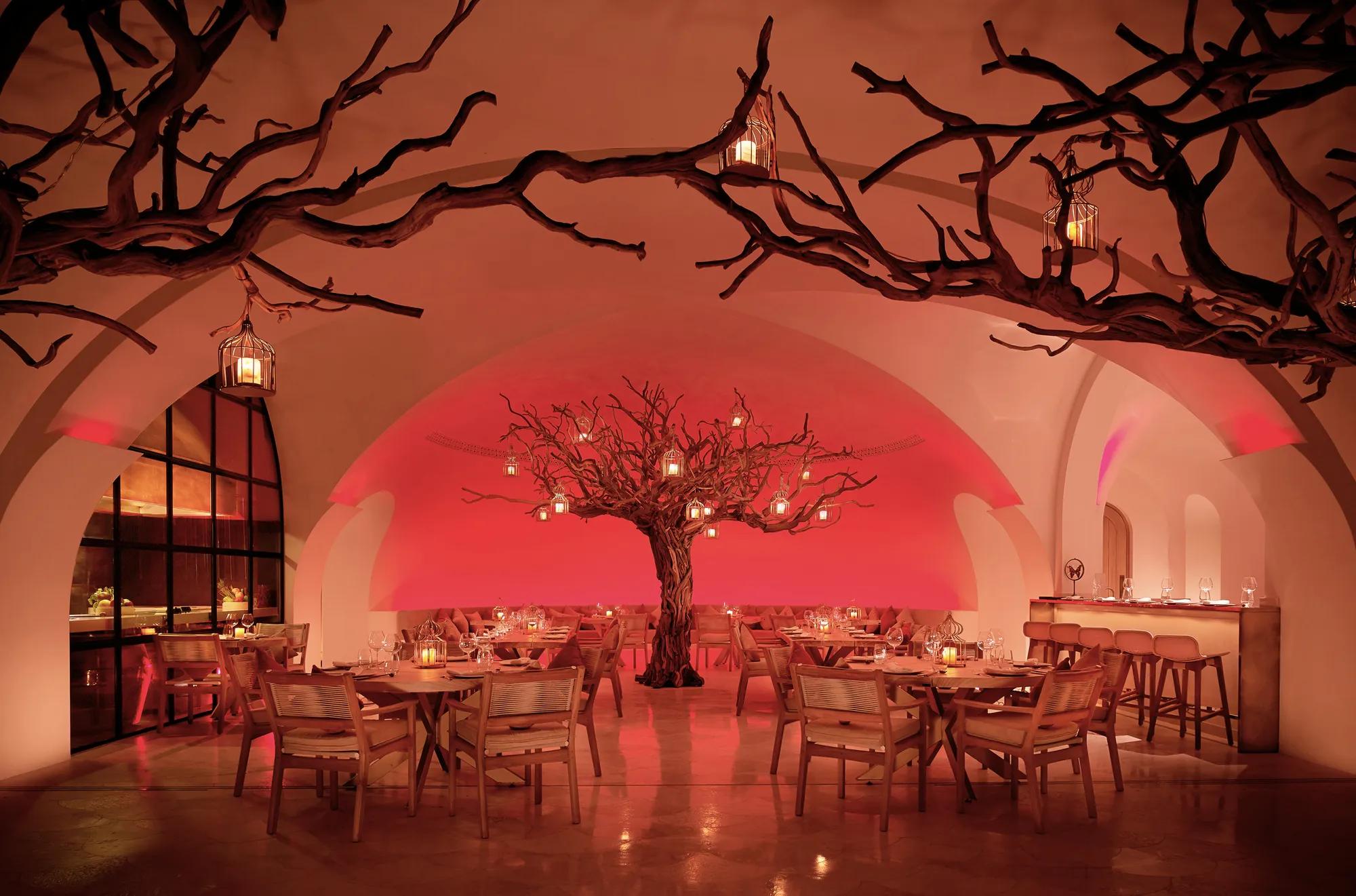 Lantern-lit sculpted trees at Arbol