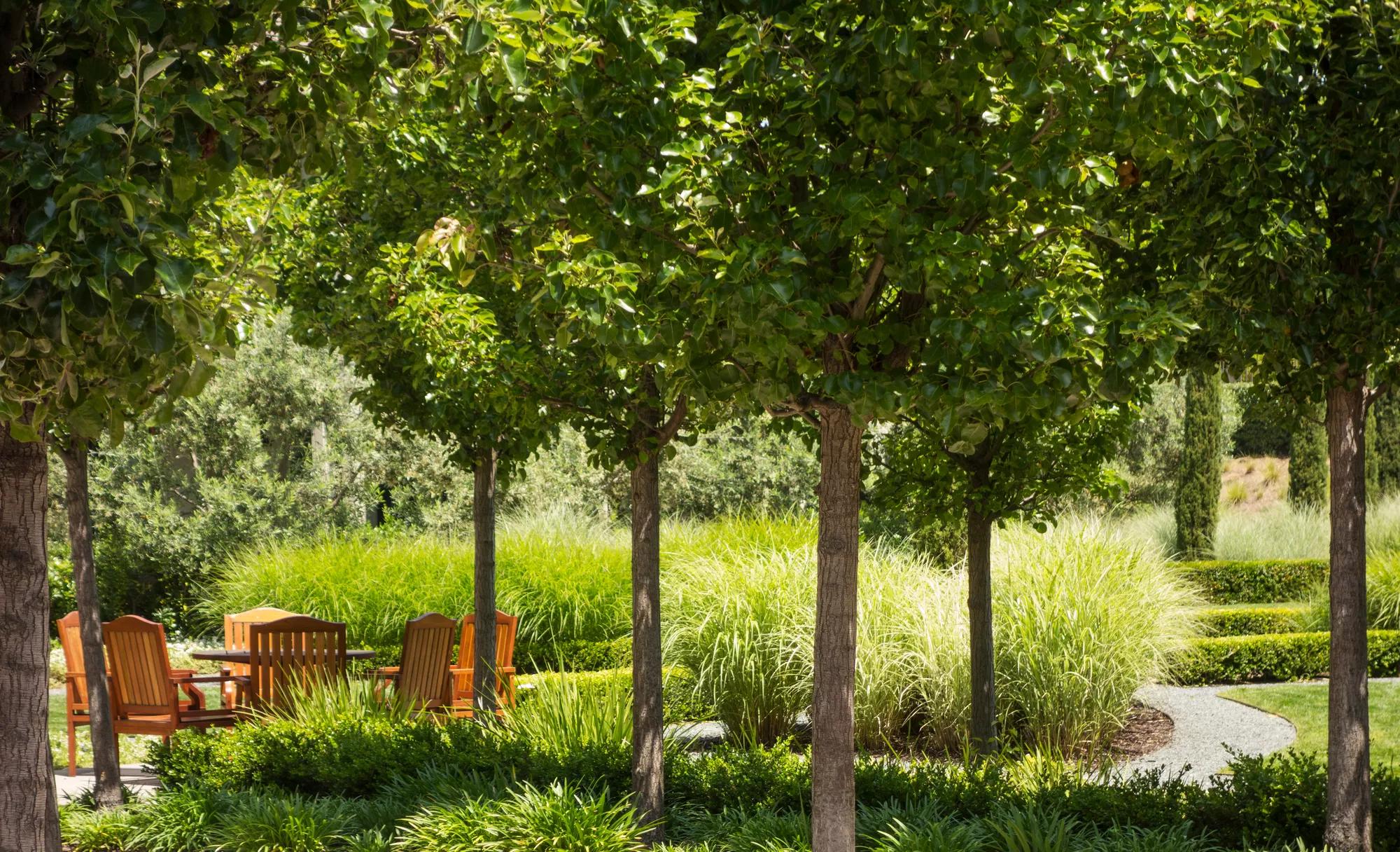 EXTERIOR SUNSETLAWN OUTDOOR SPACE