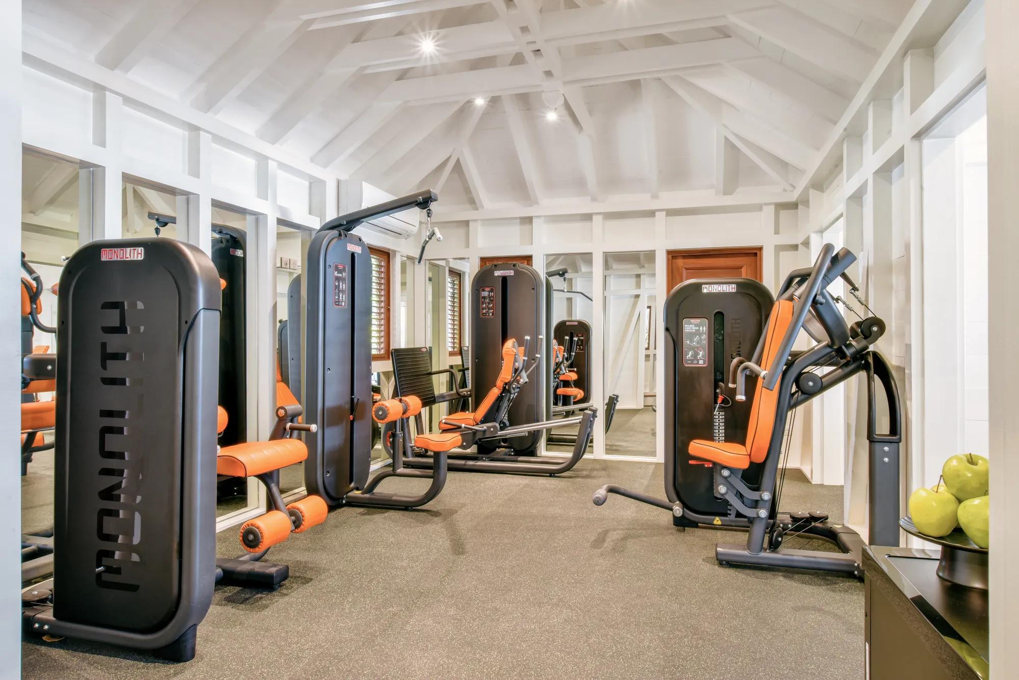 wellness gym machine