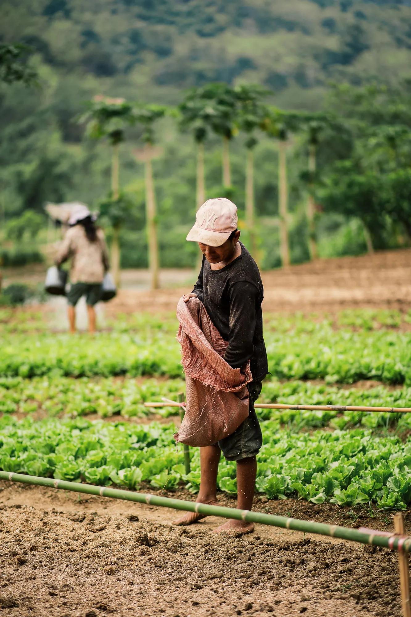 A Testament to Sustainable Dining