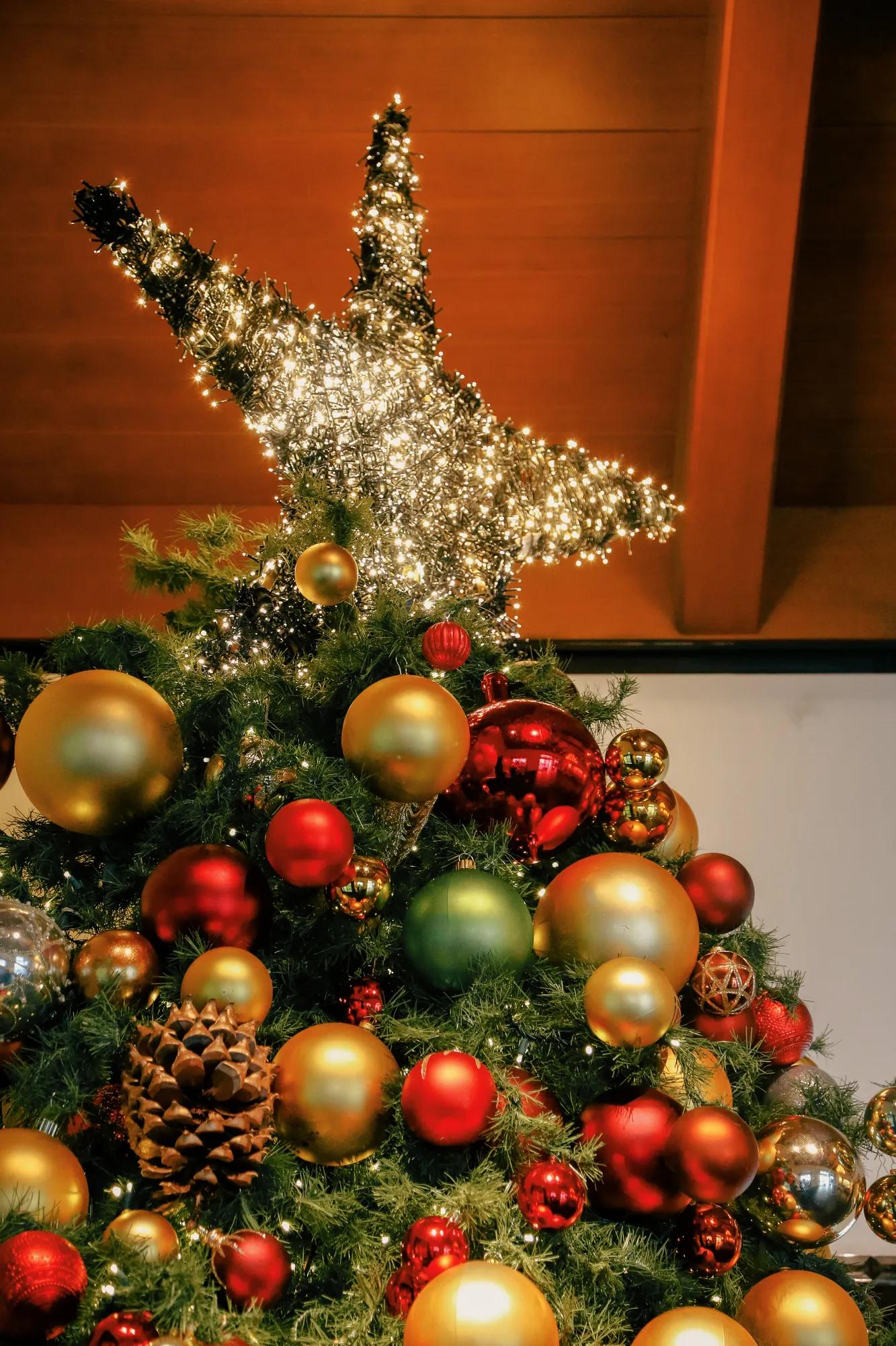 Festive Setup The Library